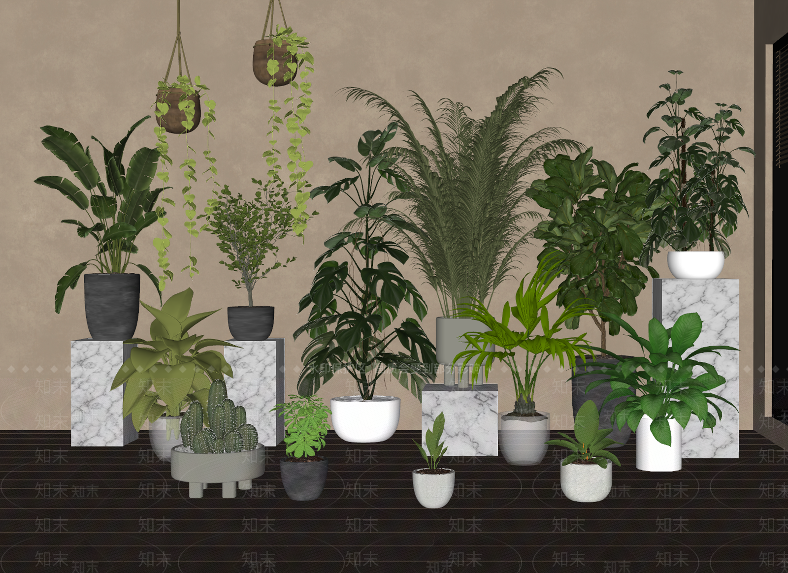 现代沙漠植物SU模型下载【ID:1232281628】