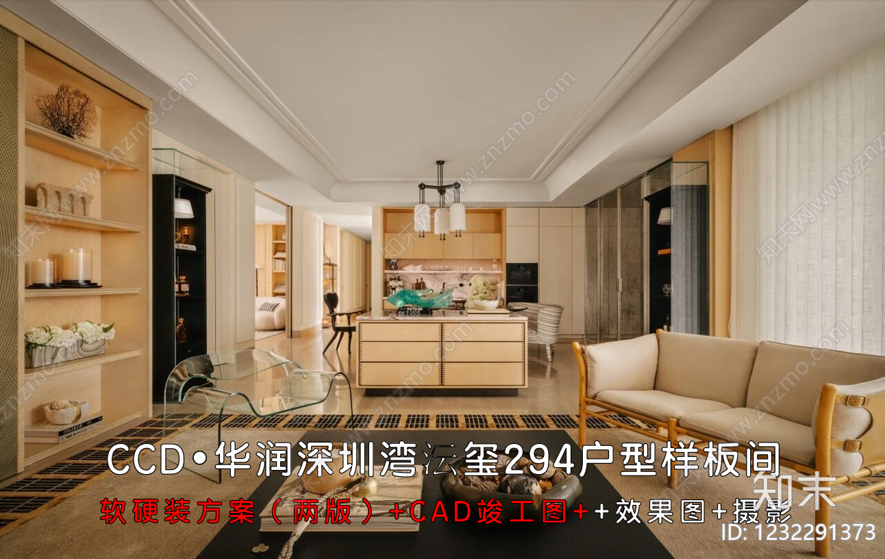 大平层CAD图纸