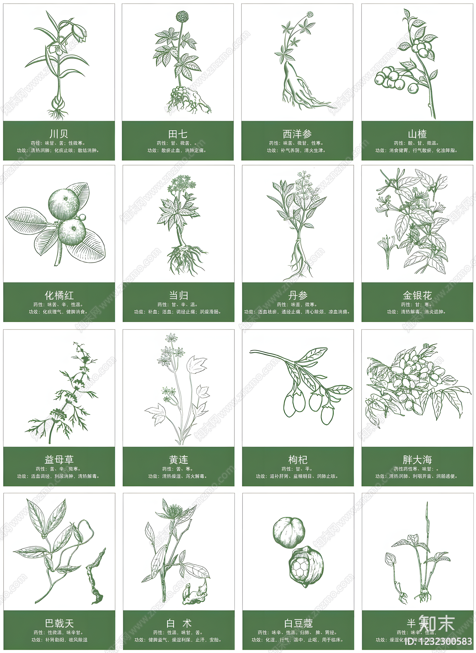 专类园种植CAD图纸