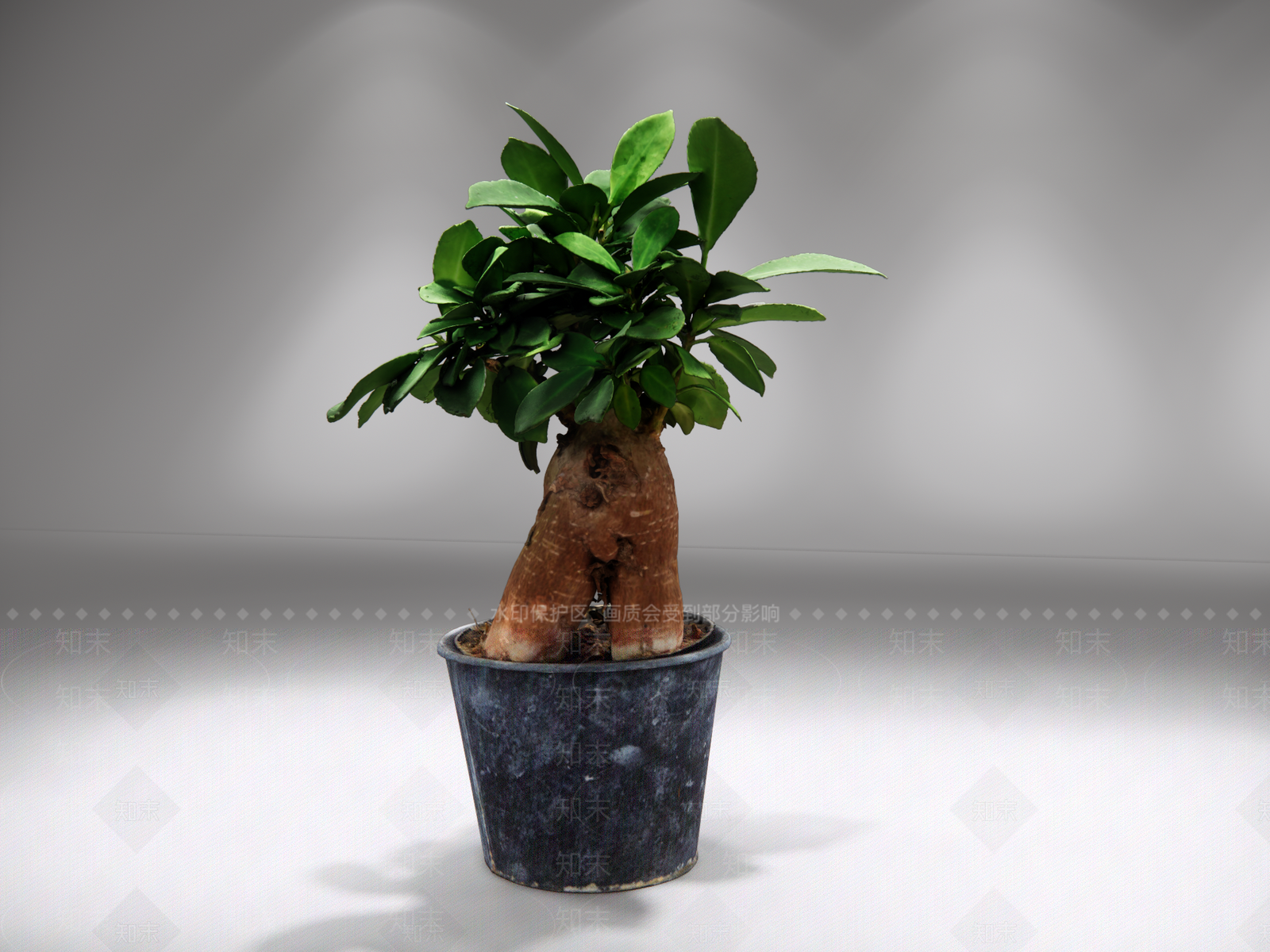 极简盆栽SU模型下载【ID:1232326246】