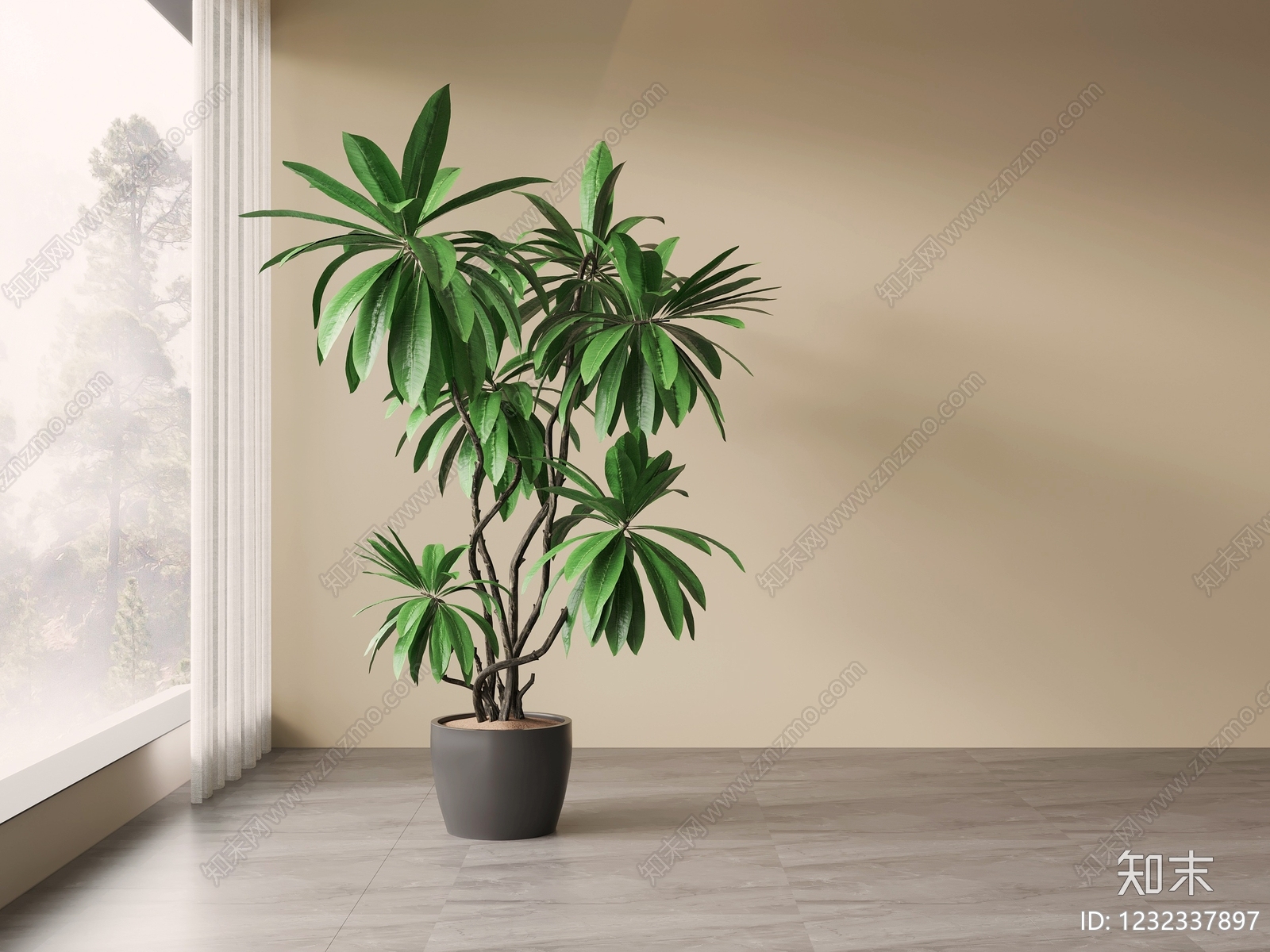 极简盆栽3D模型下载【ID:1232337897】