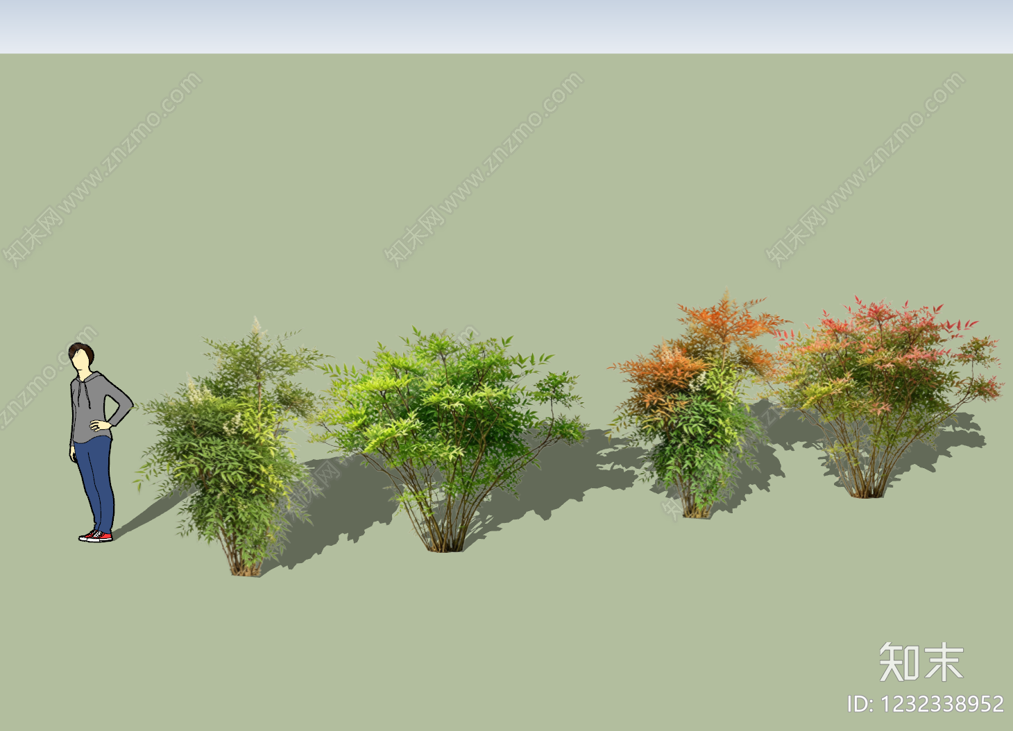 现代灌木SU模型下载【ID:1232338952】