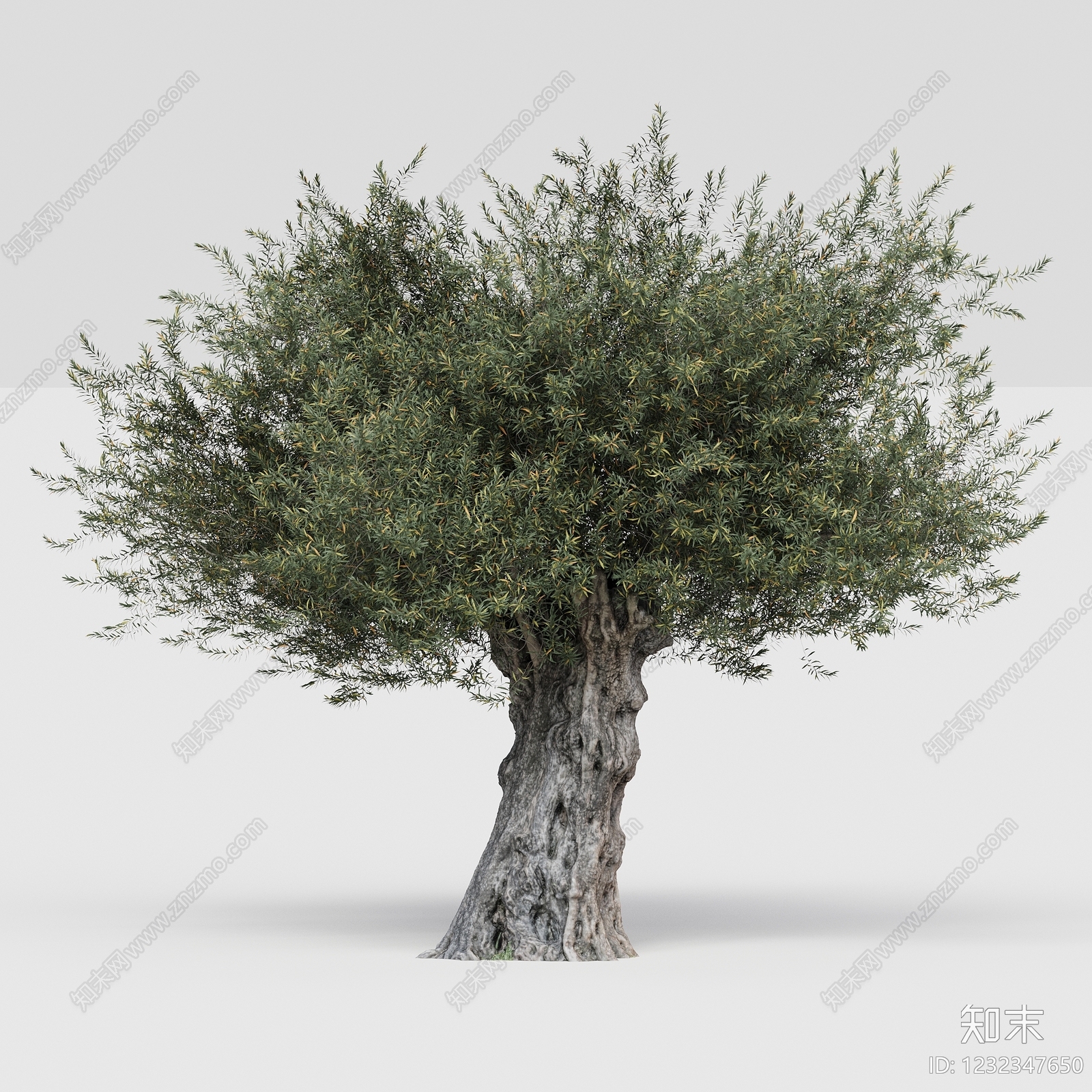 极简乔木3D模型下载【ID:1232347650】