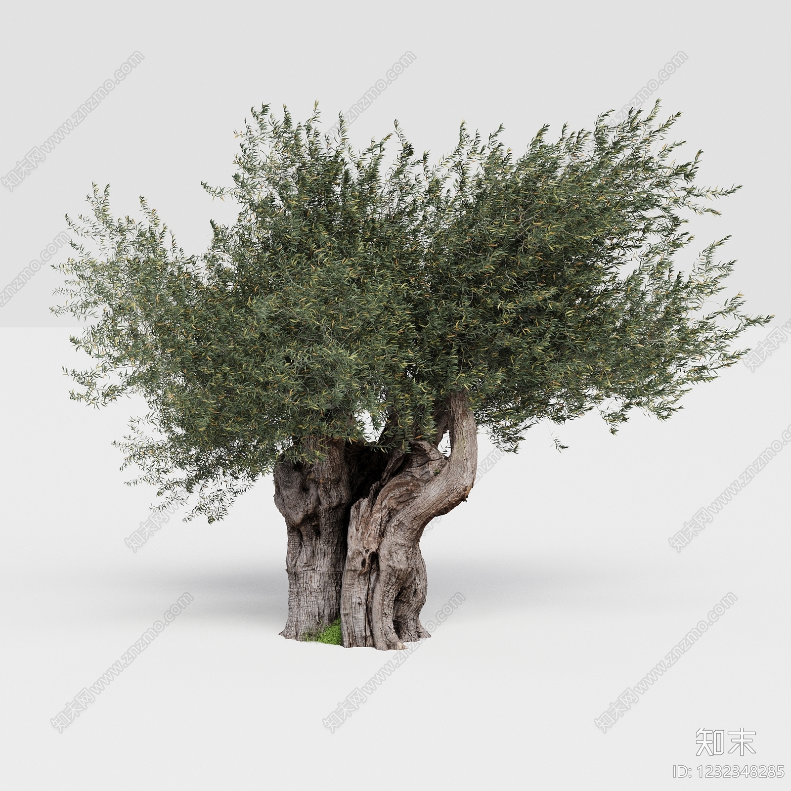 禅意乔木3D模型下载【ID:1232348285】