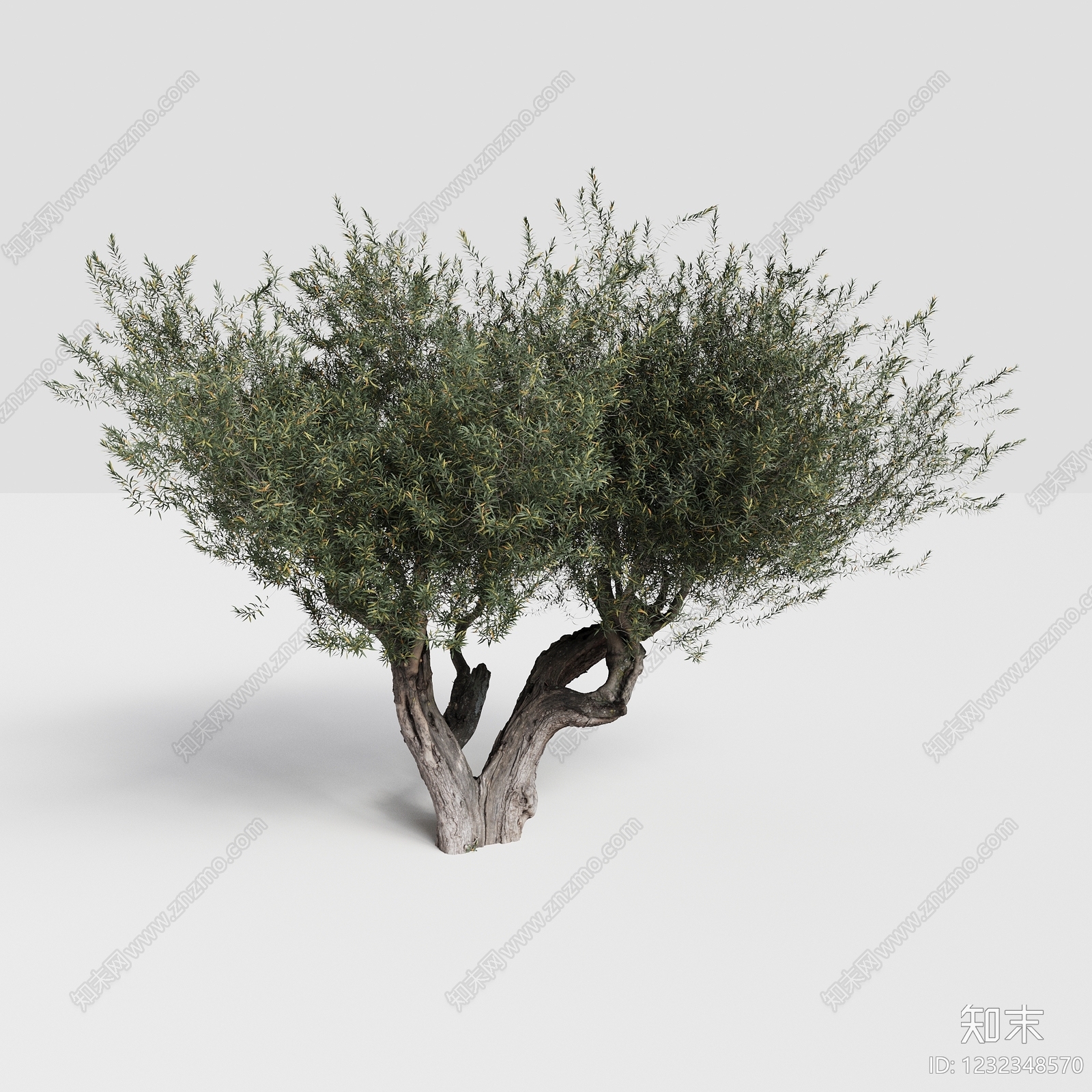 极简乔木3D模型下载【ID:1232348570】