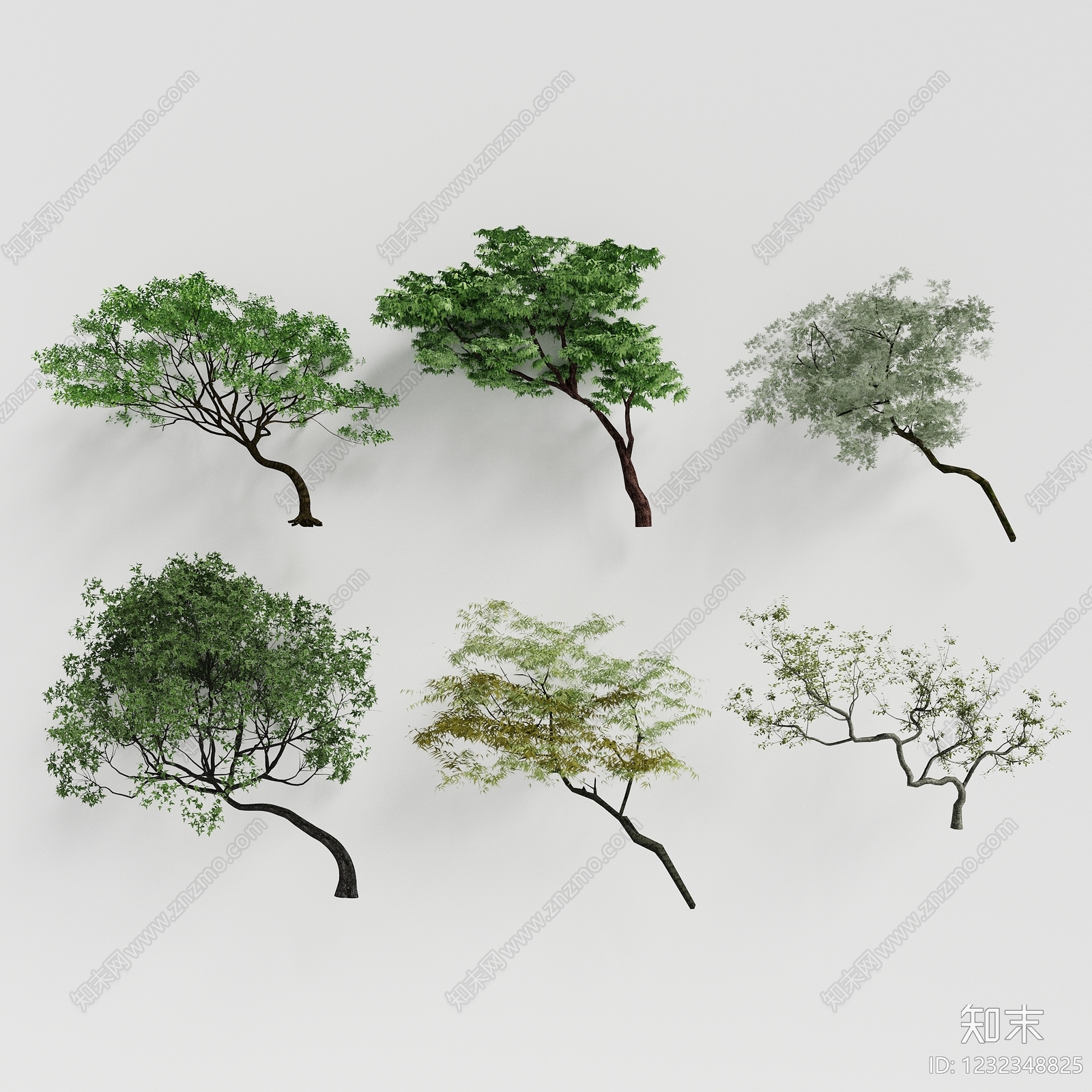 日式乔木3D模型下载【ID:1232348825】