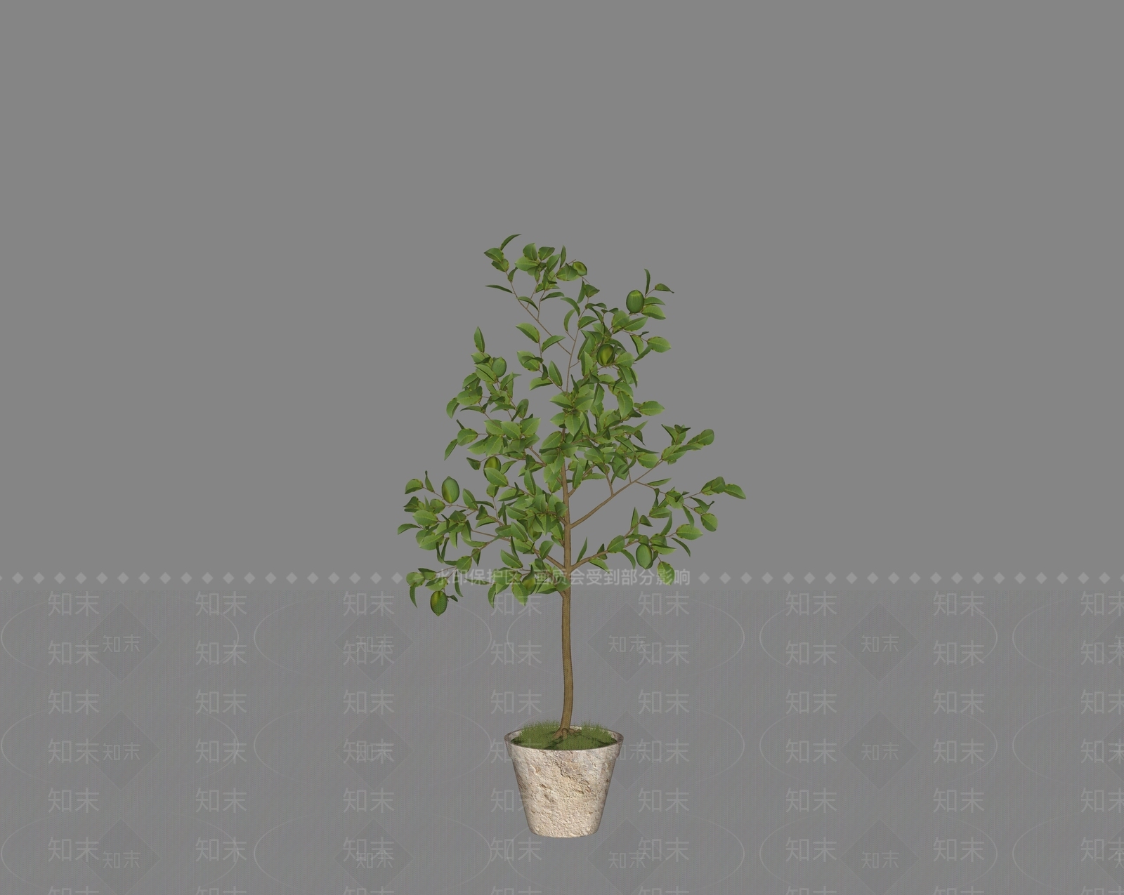 极简植物组合SU模型下载【ID:1232350984】