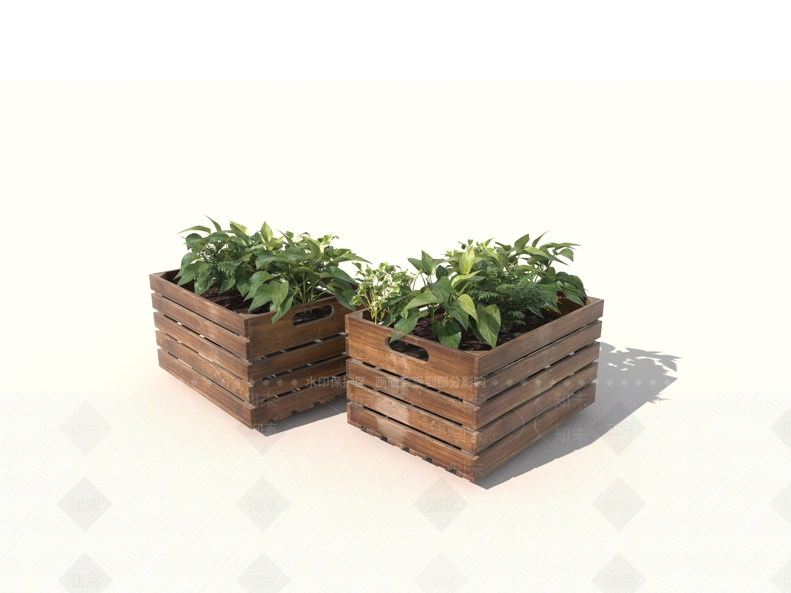 美式草本植物3D模型下载【ID:1232367171】