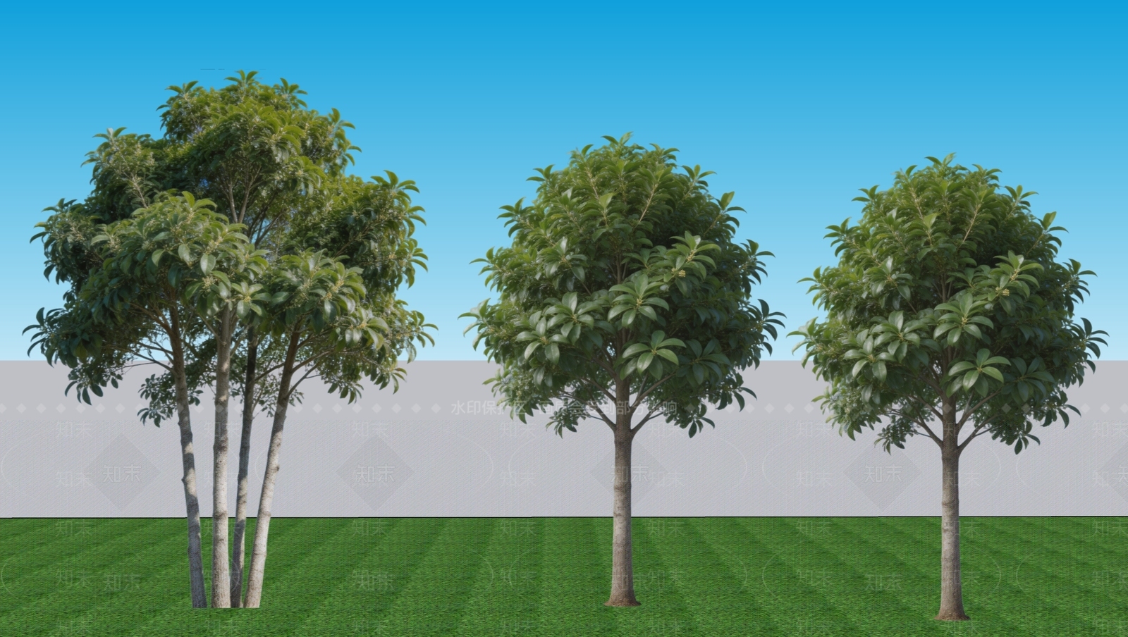 灌木SU模型下载【ID:1232372372】