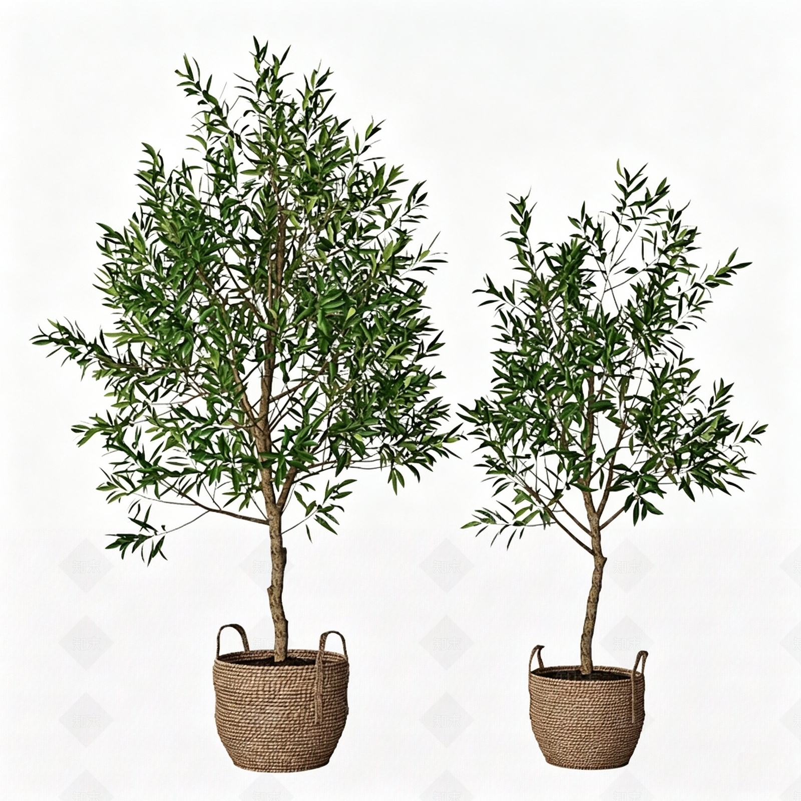 侘寂盆栽SU模型下载【ID:1232387515】