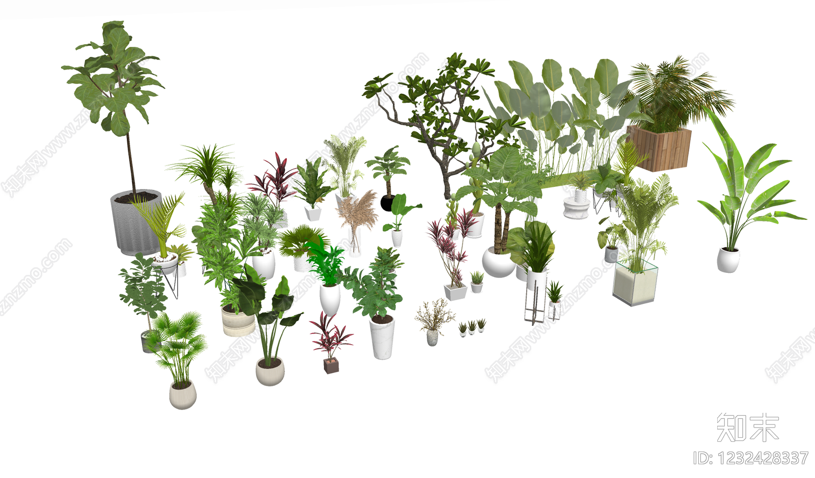 现代植物组合SU模型下载【ID:1232428337】