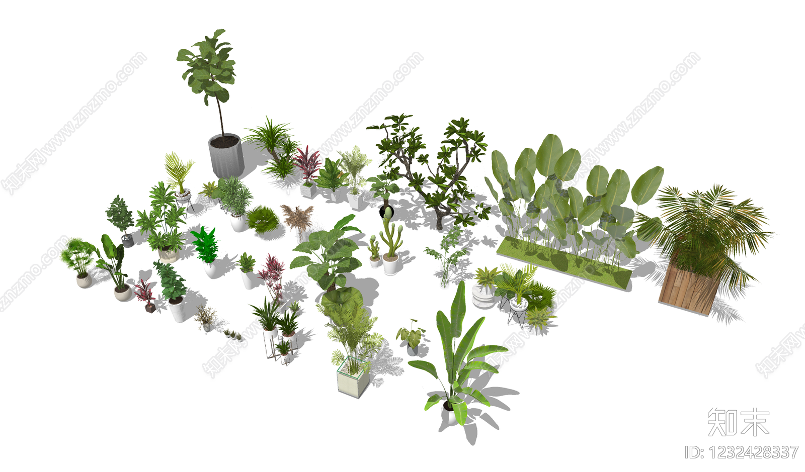 现代植物组合SU模型下载【ID:1232428337】