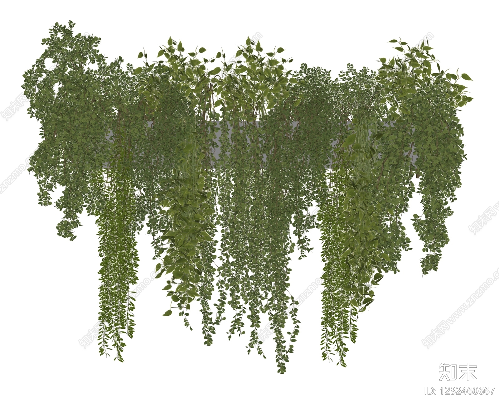 藤蔓SU模型下载【ID:1232460667】