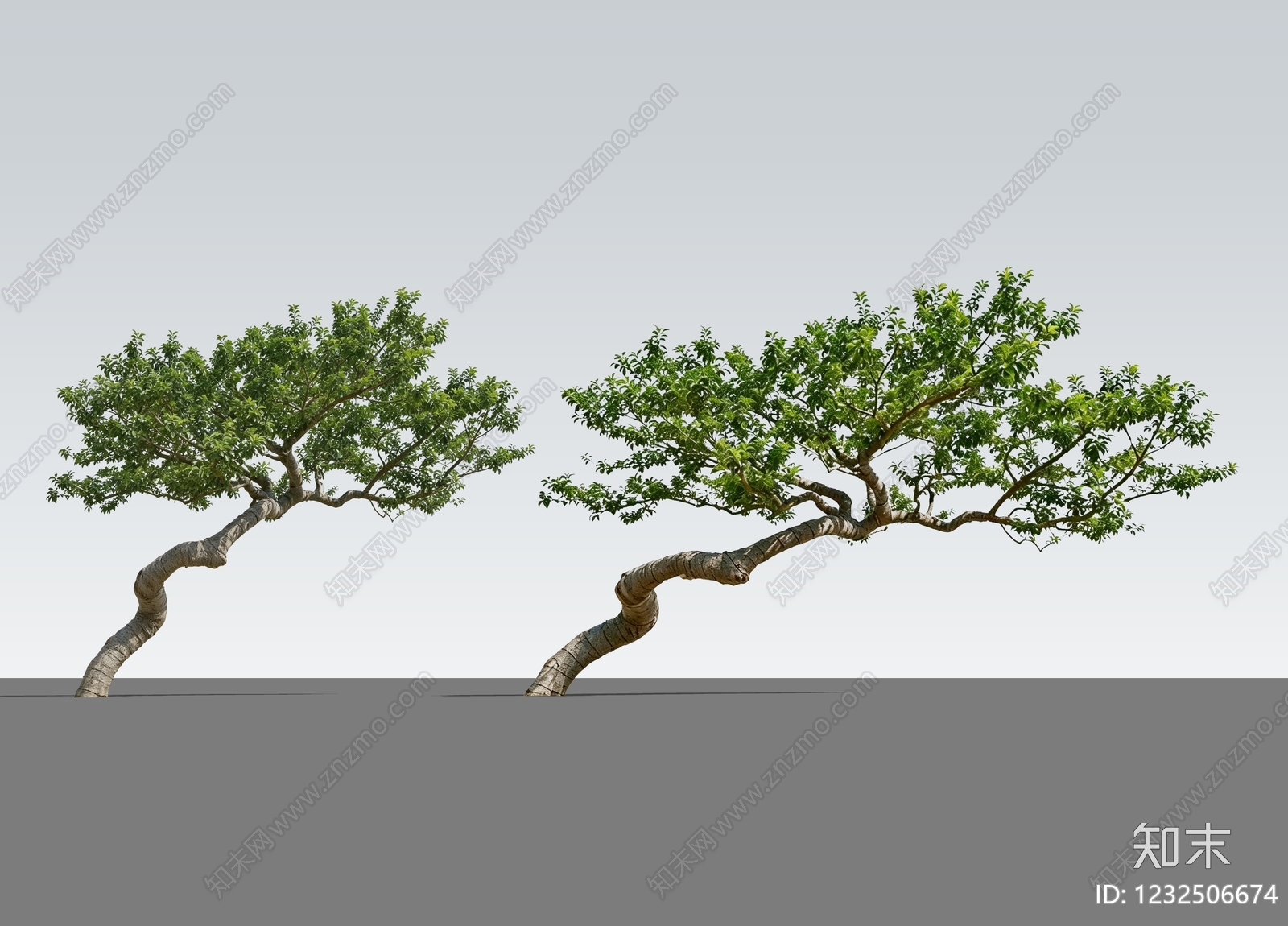禅意灌木SU模型下载【ID:1232506674】
