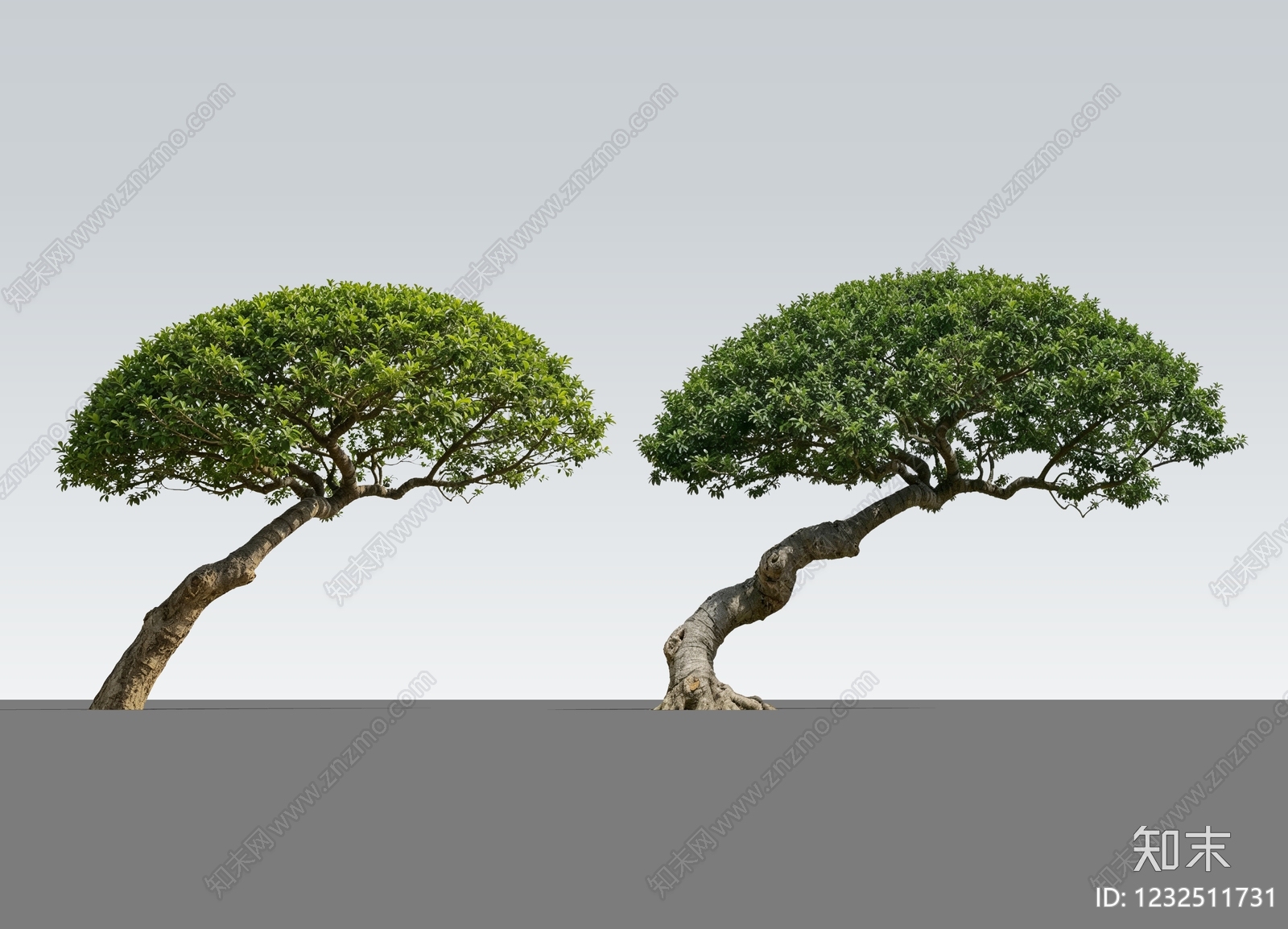 新中式景观灌木SU模型草图