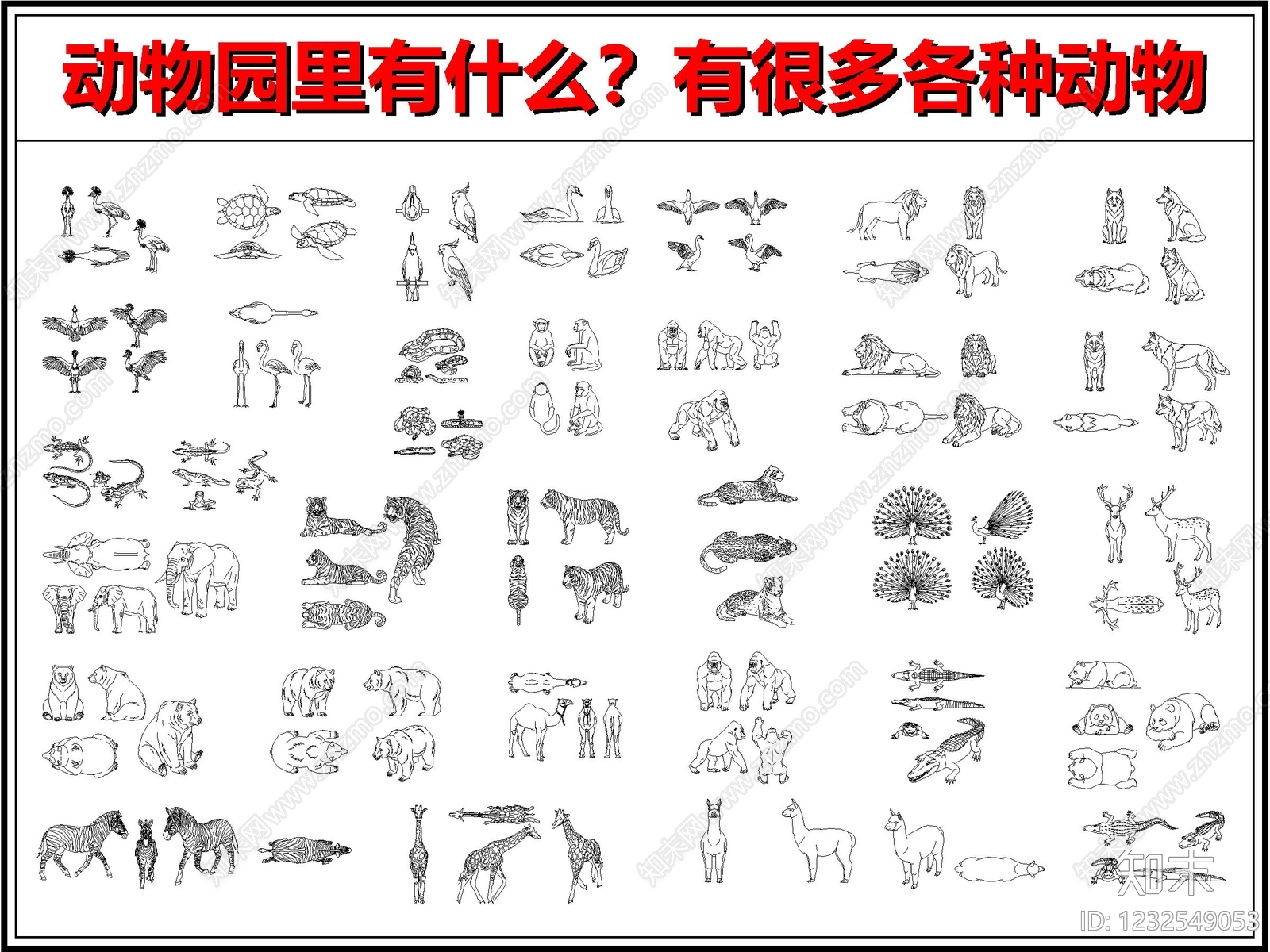 动物cad施工图下载【ID:1232549053】