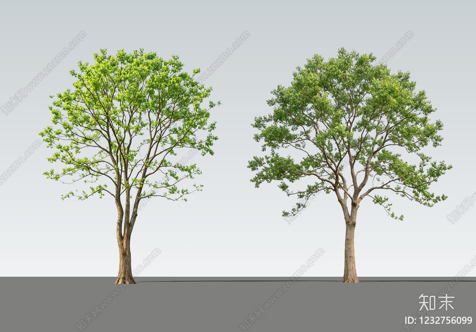 乔木SU模型下载【ID:1232756099】