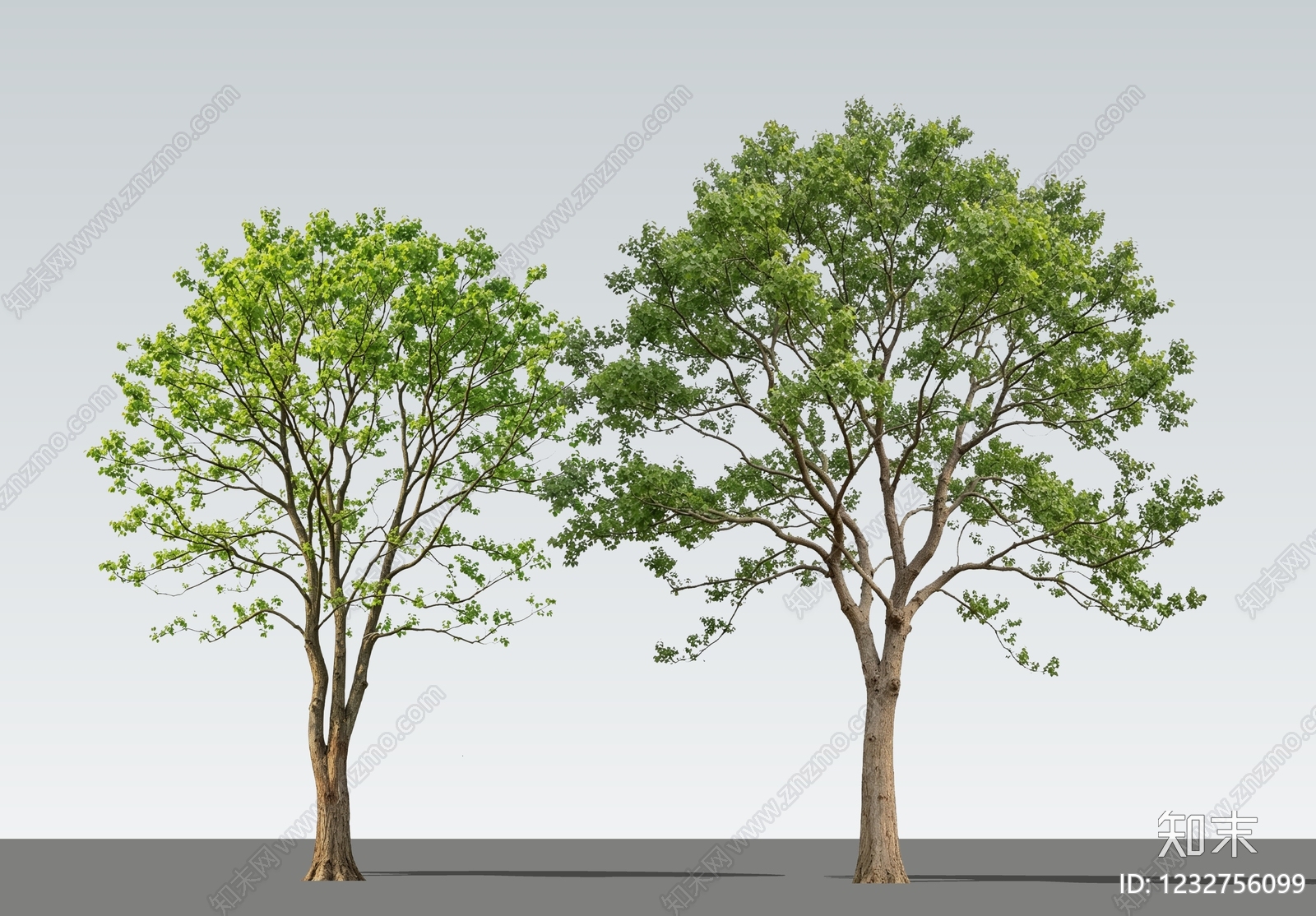 乔木SU模型下载【ID:1232756099】