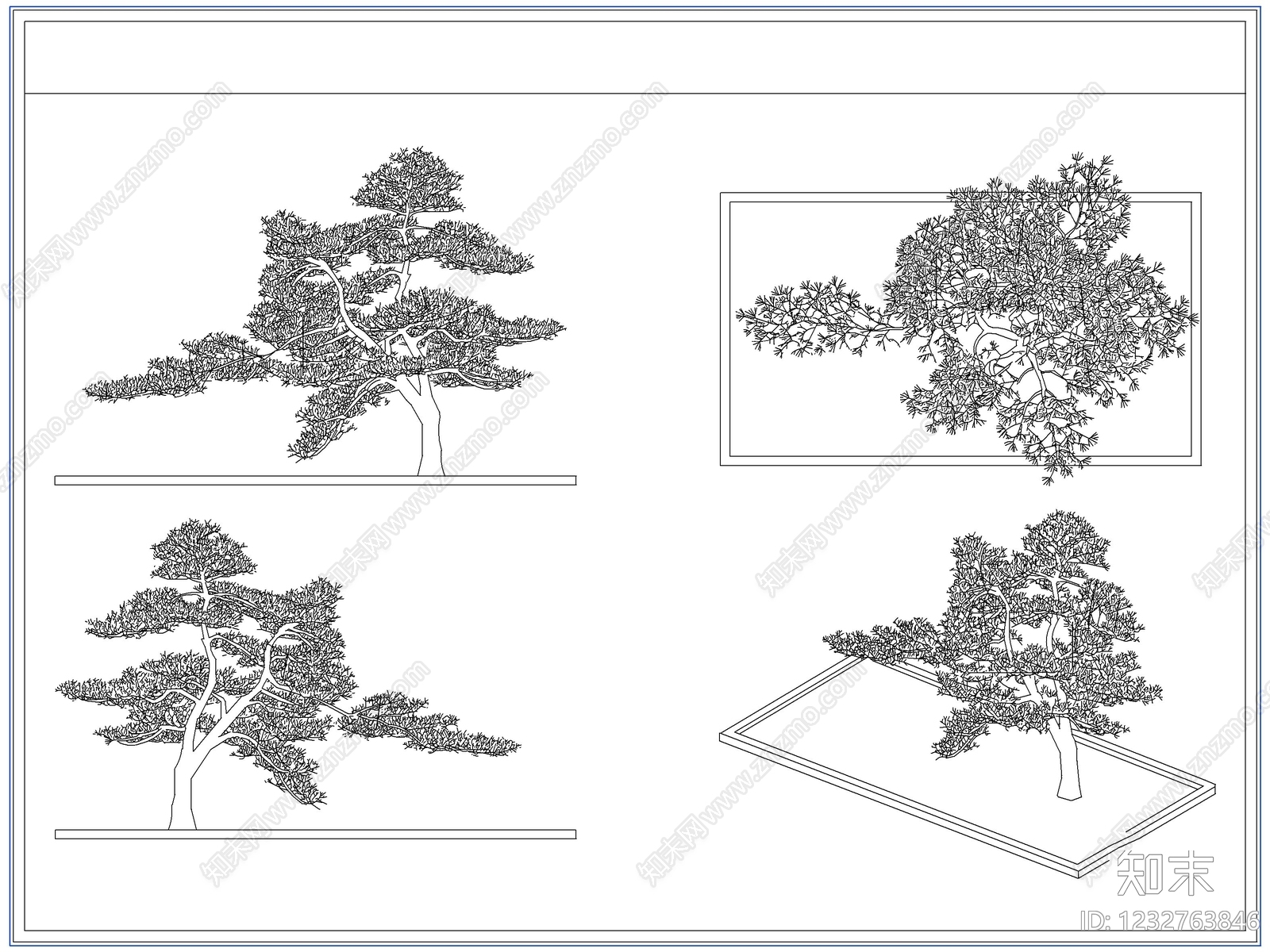 灌木种植CAD图纸