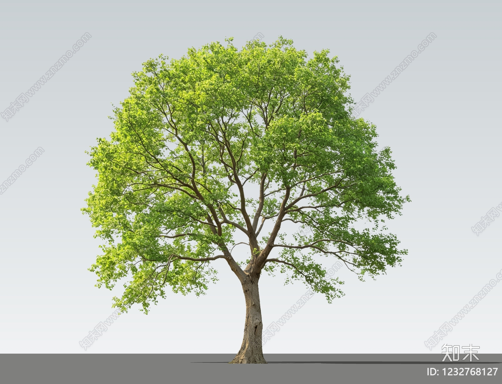 乔木SU模型下载【ID:1232768127】