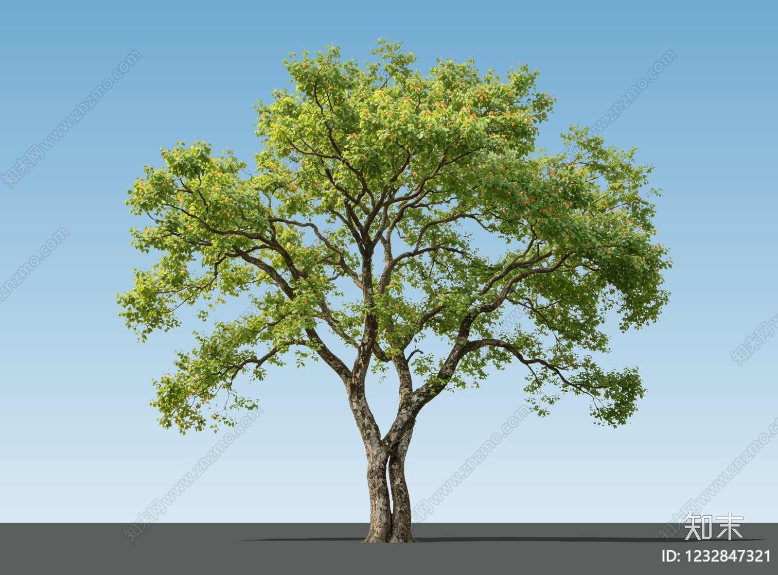 乔木SU模型下载【ID:1232847321】