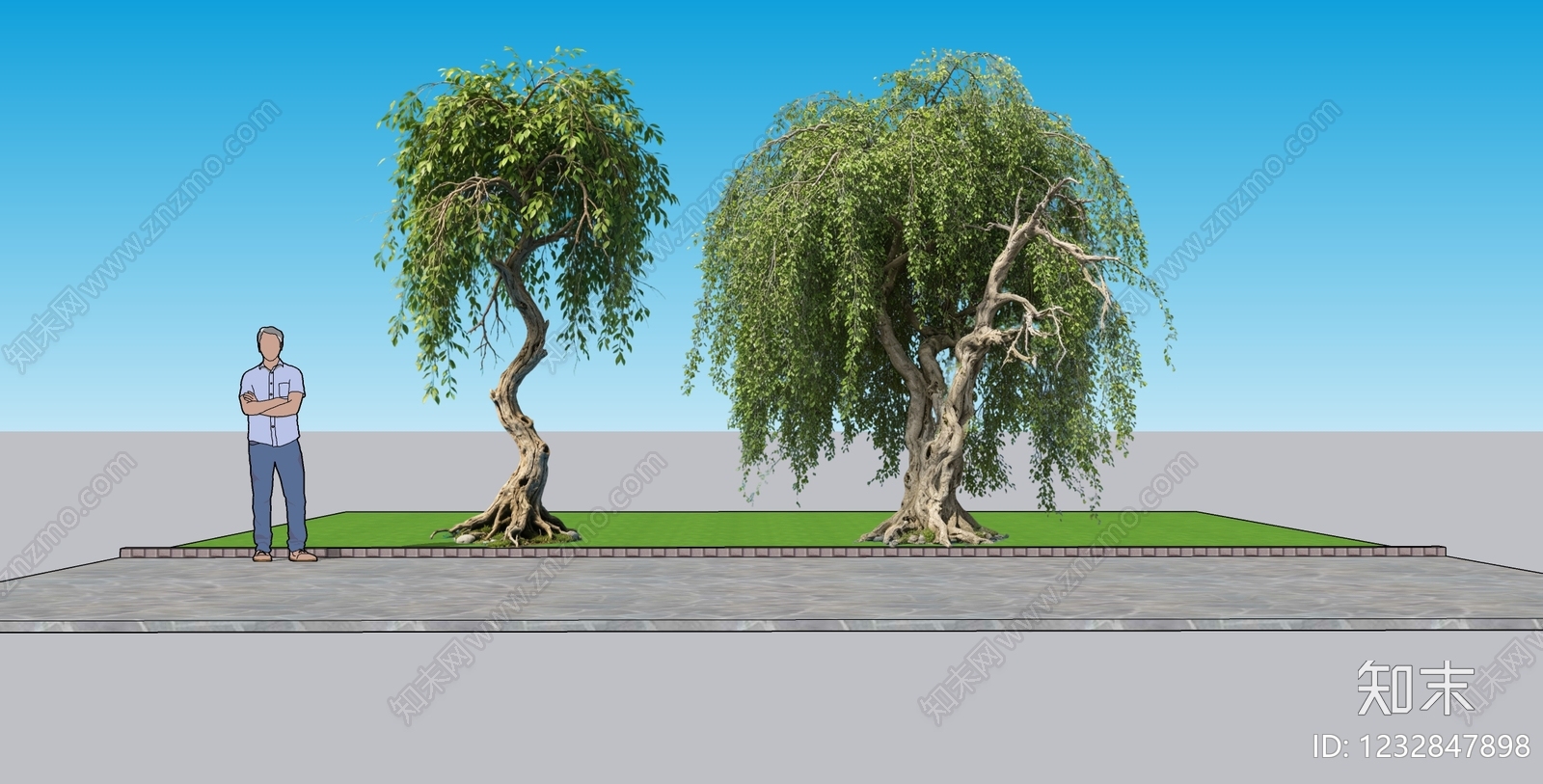 传统园林乔木SU模型下载【ID:1232847898】