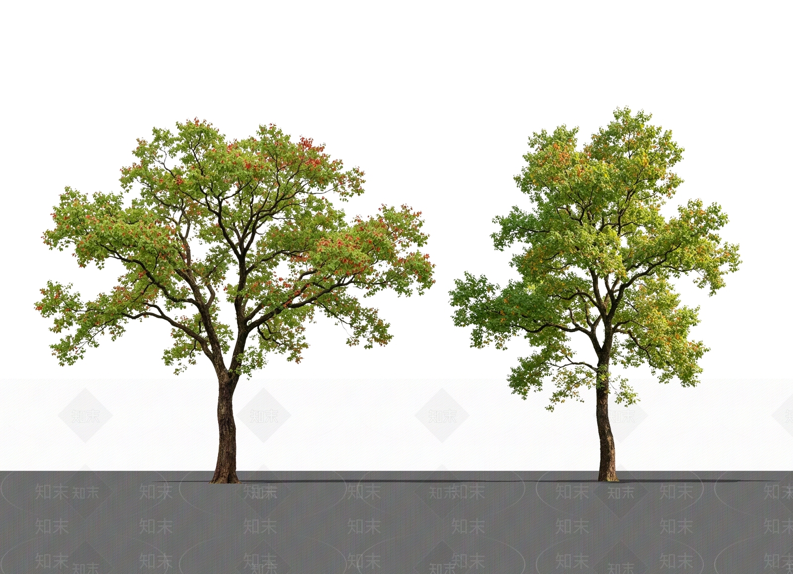 乔木SU模型下载【ID:1232855857】