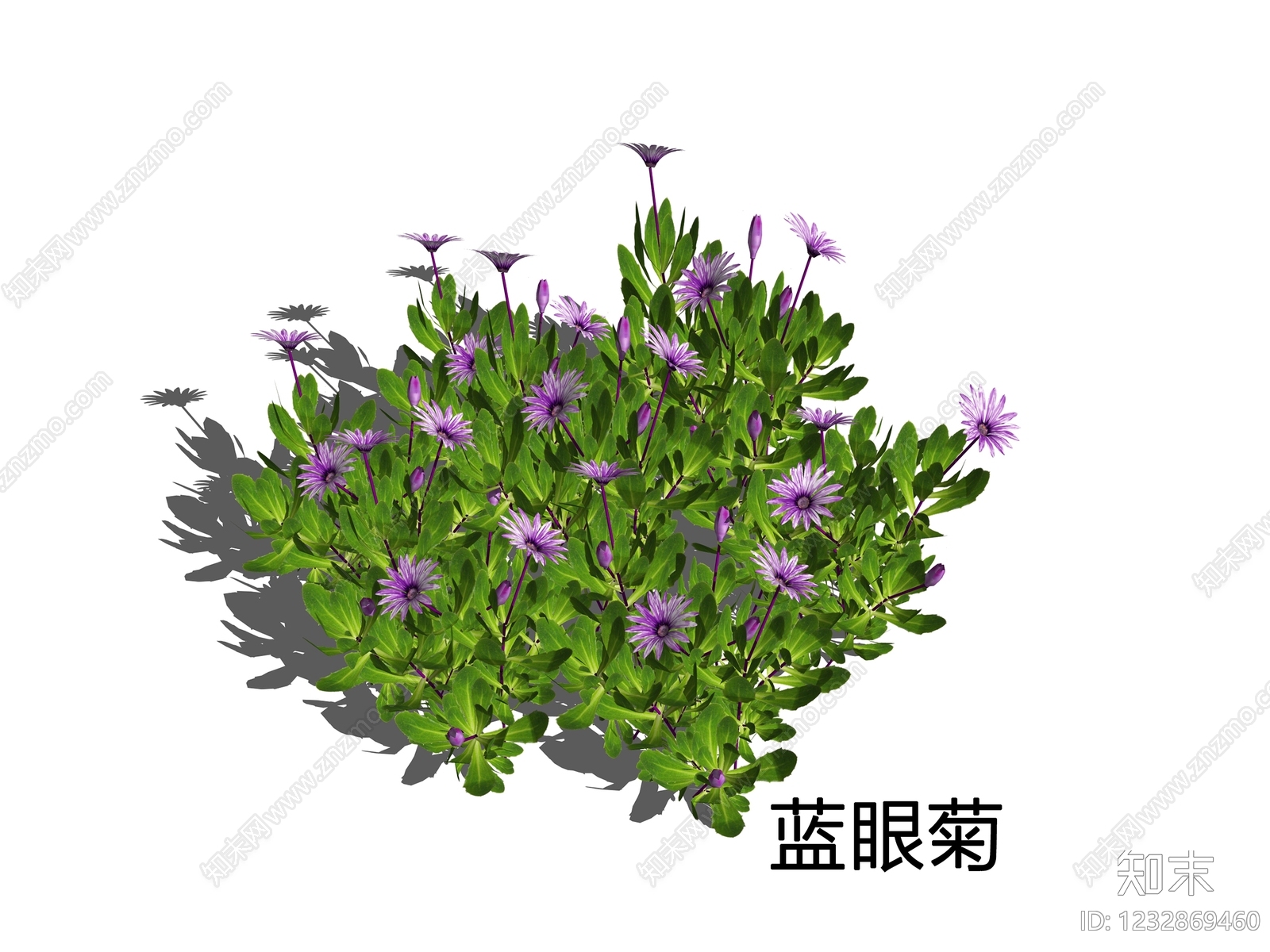 花草SU模型下载【ID:1232869460】