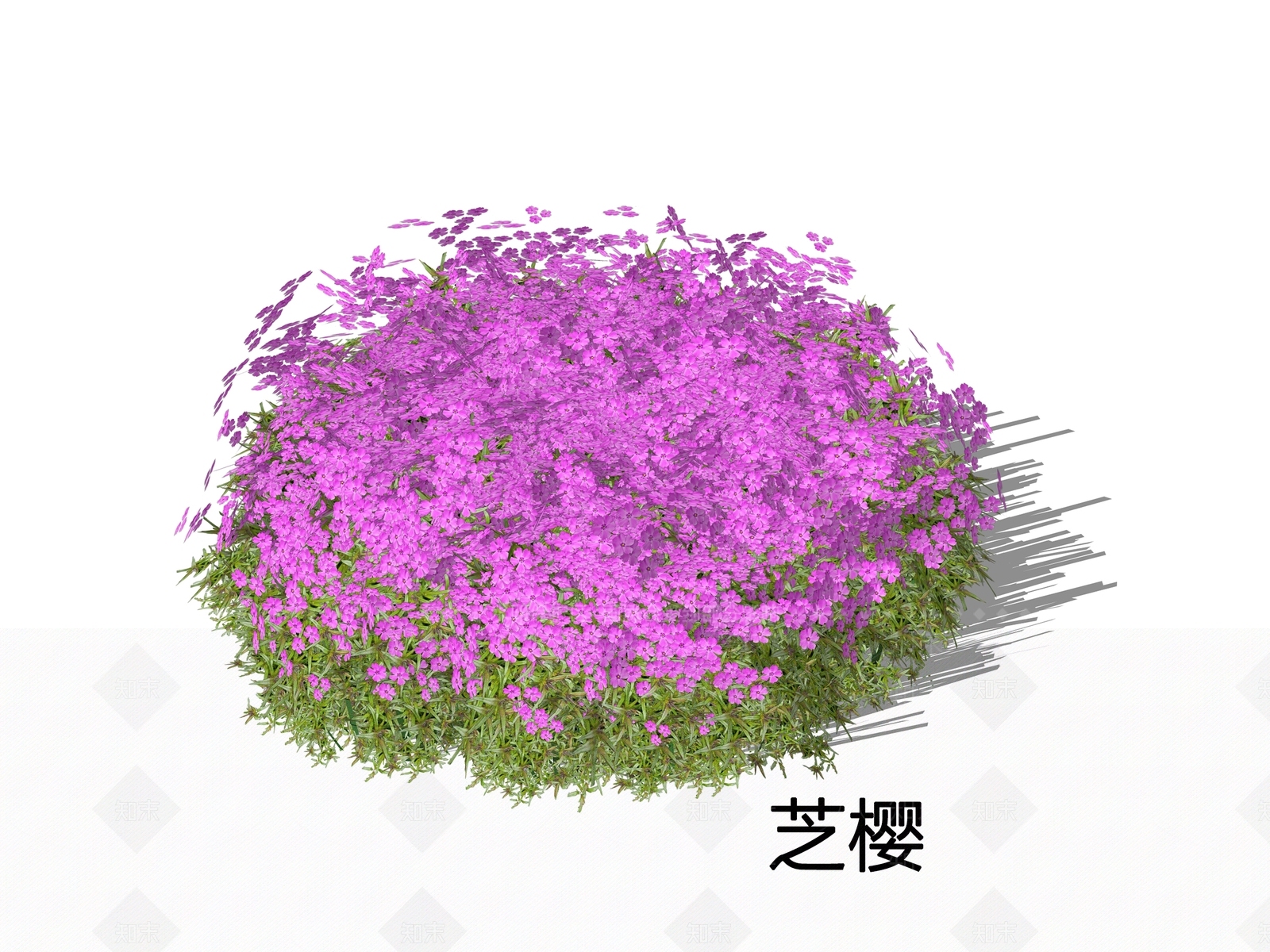 花草SU模型下载【ID:1232870023】