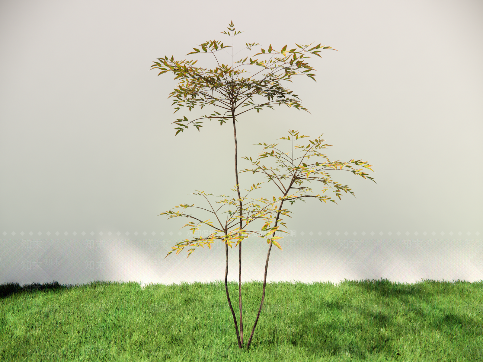 极简灌木SU模型下载【ID:1232900710】