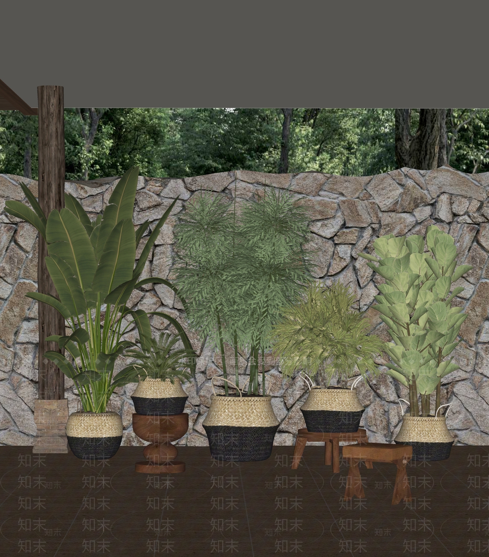 侘寂植物组合SU模型下载【ID:1232942907】