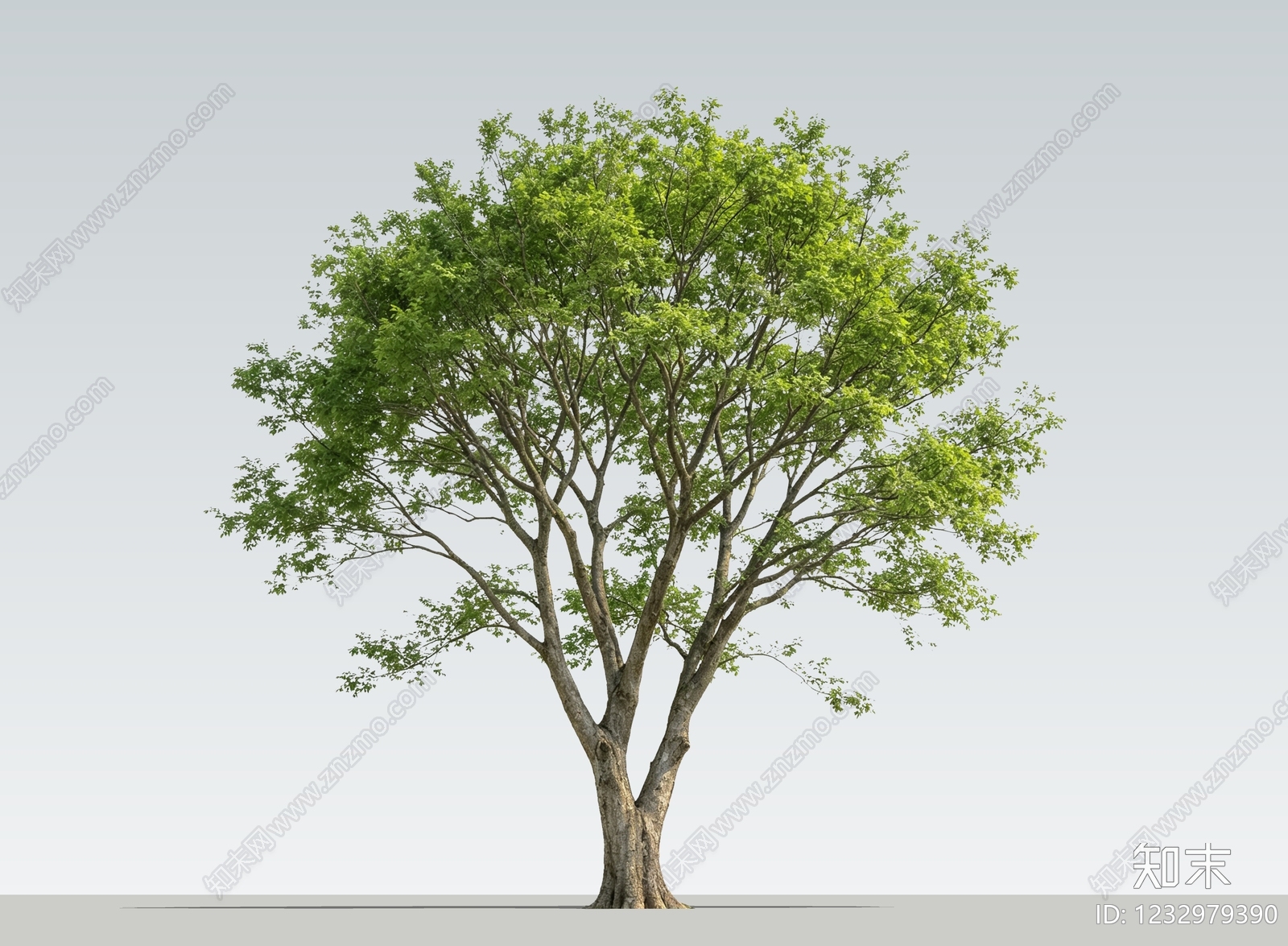 乔木SU模型下载【ID:1232979390】