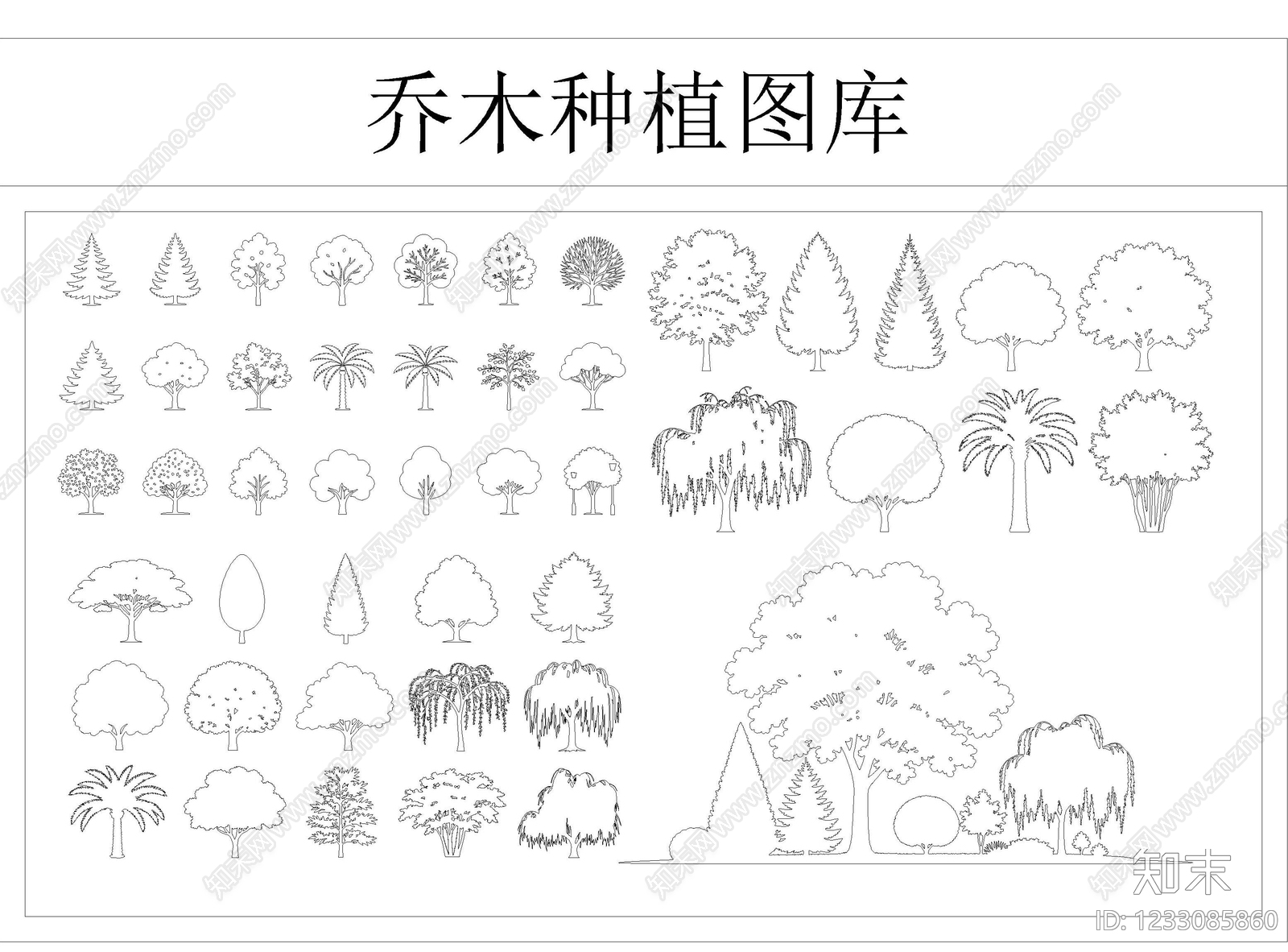 乔木种植CAD图纸