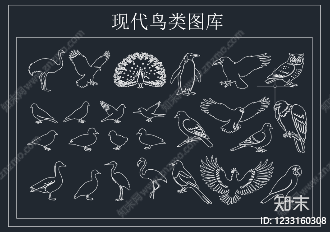 动物CAD图纸