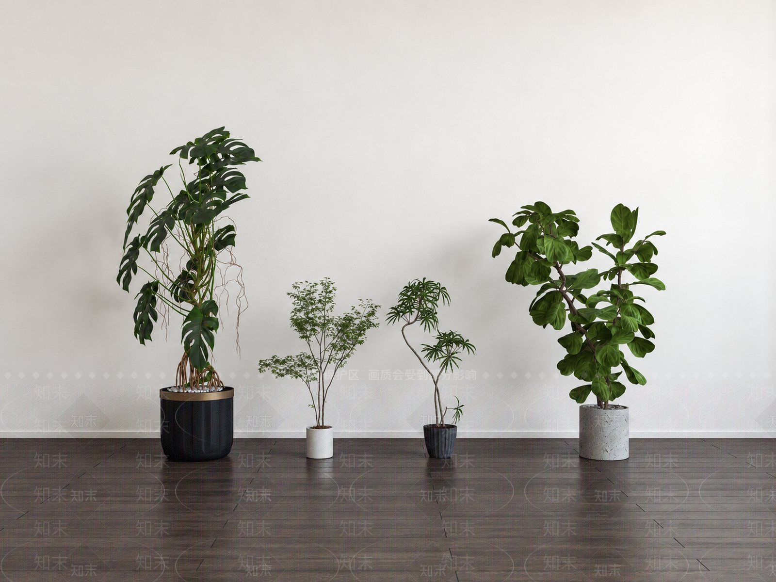 极简植物组合SU模型下载【ID:1233128641】