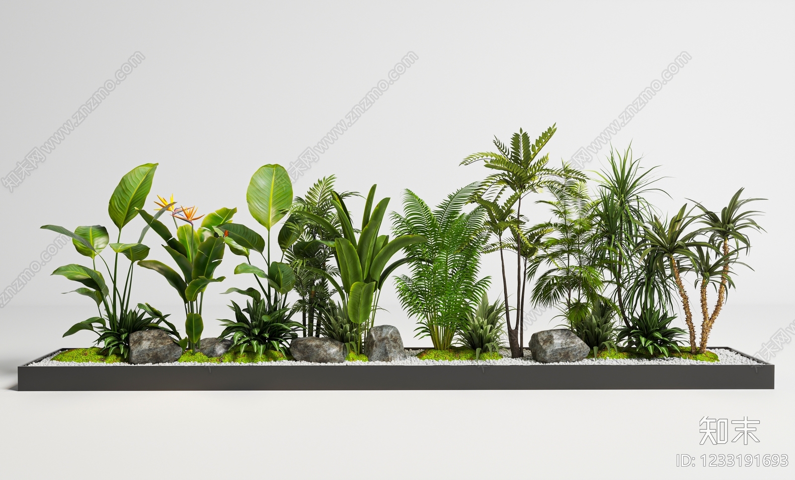 现代植物堆3D模型渲染效果图