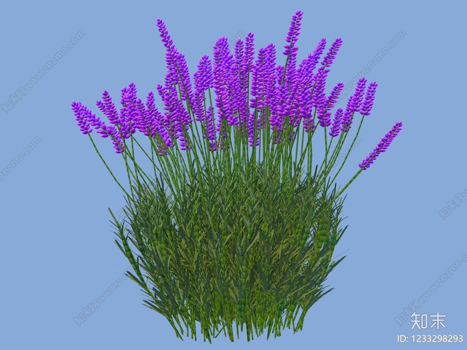 草本植物3D模型下载【ID:1233298293】