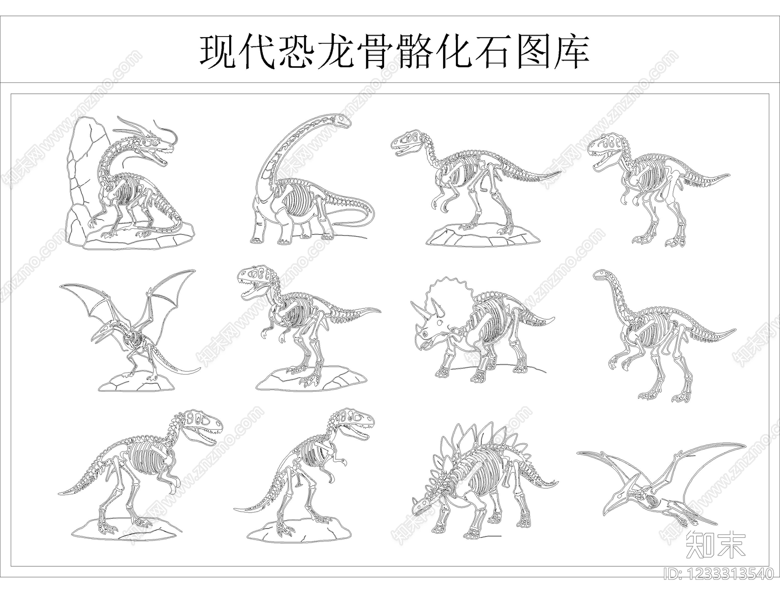 动物CAD图纸
