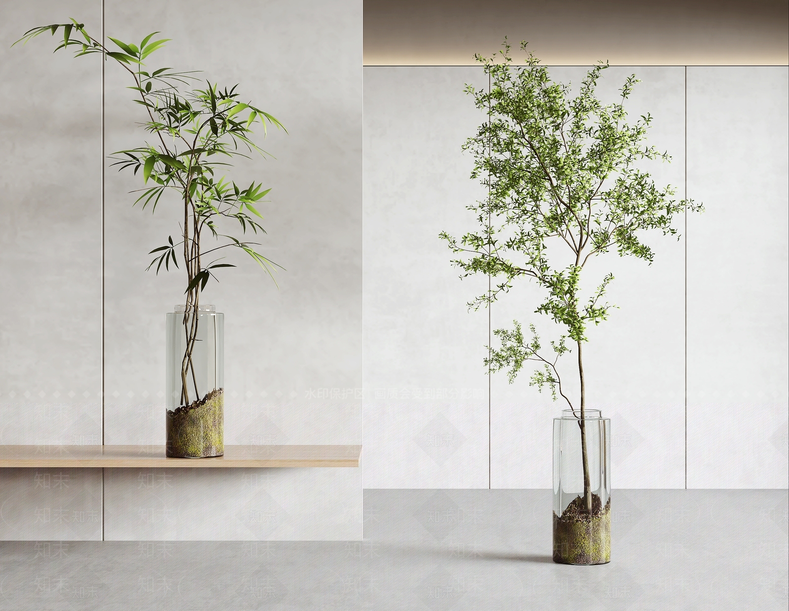 极简水生植物3D模型渲染效果图