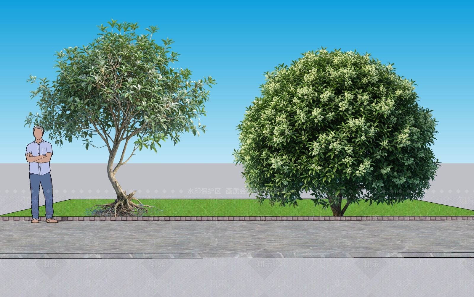 现代乔木SU模型下载【ID:1233348192】