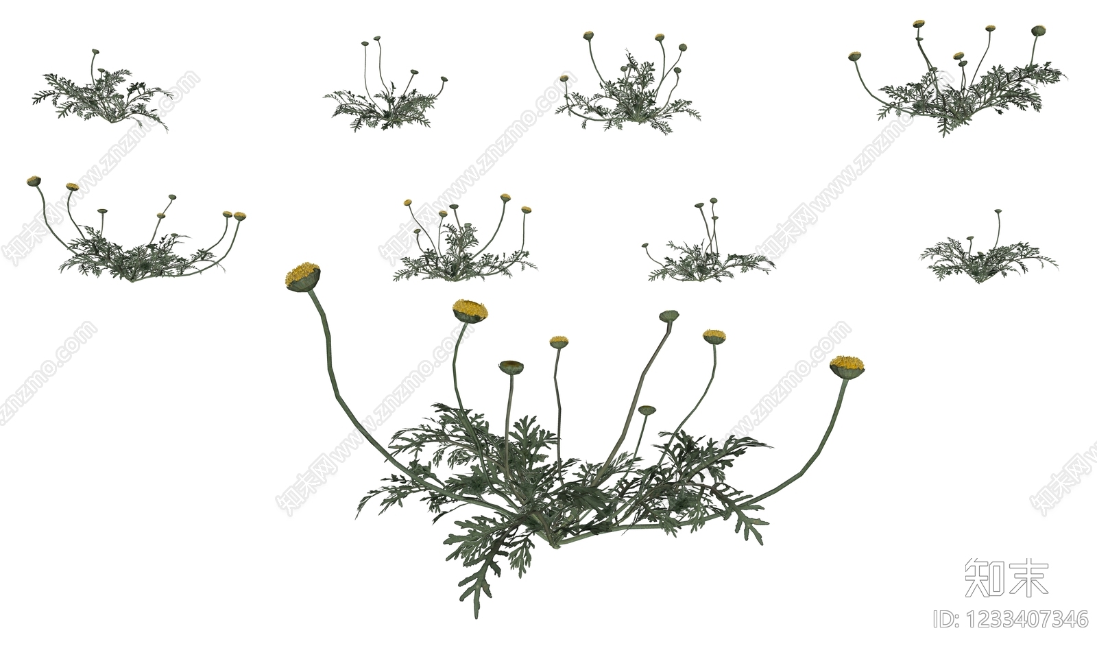 草本植物SU模型下载【ID:1233407346】