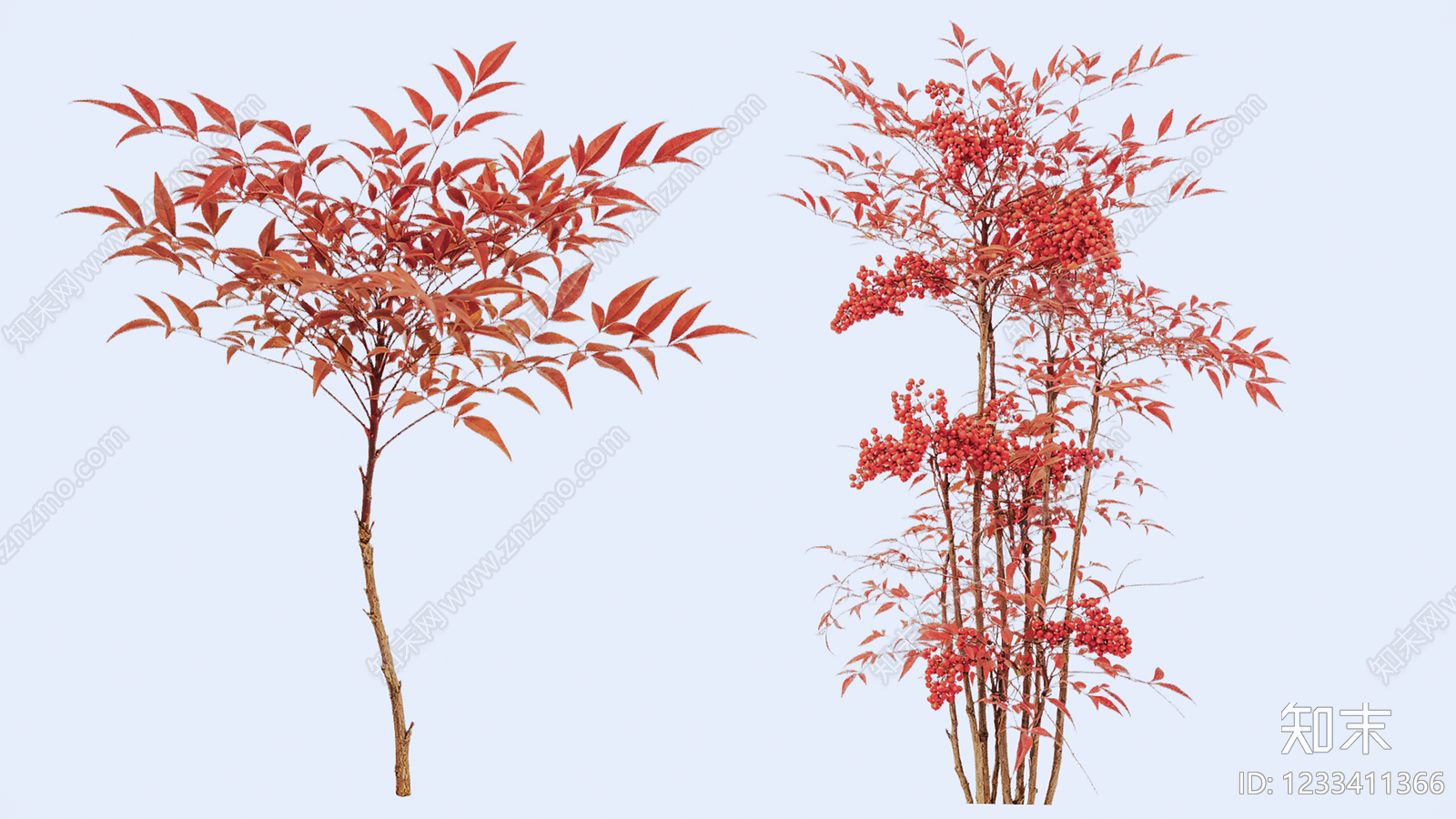 竹子SU模型下载【ID:1233411366】