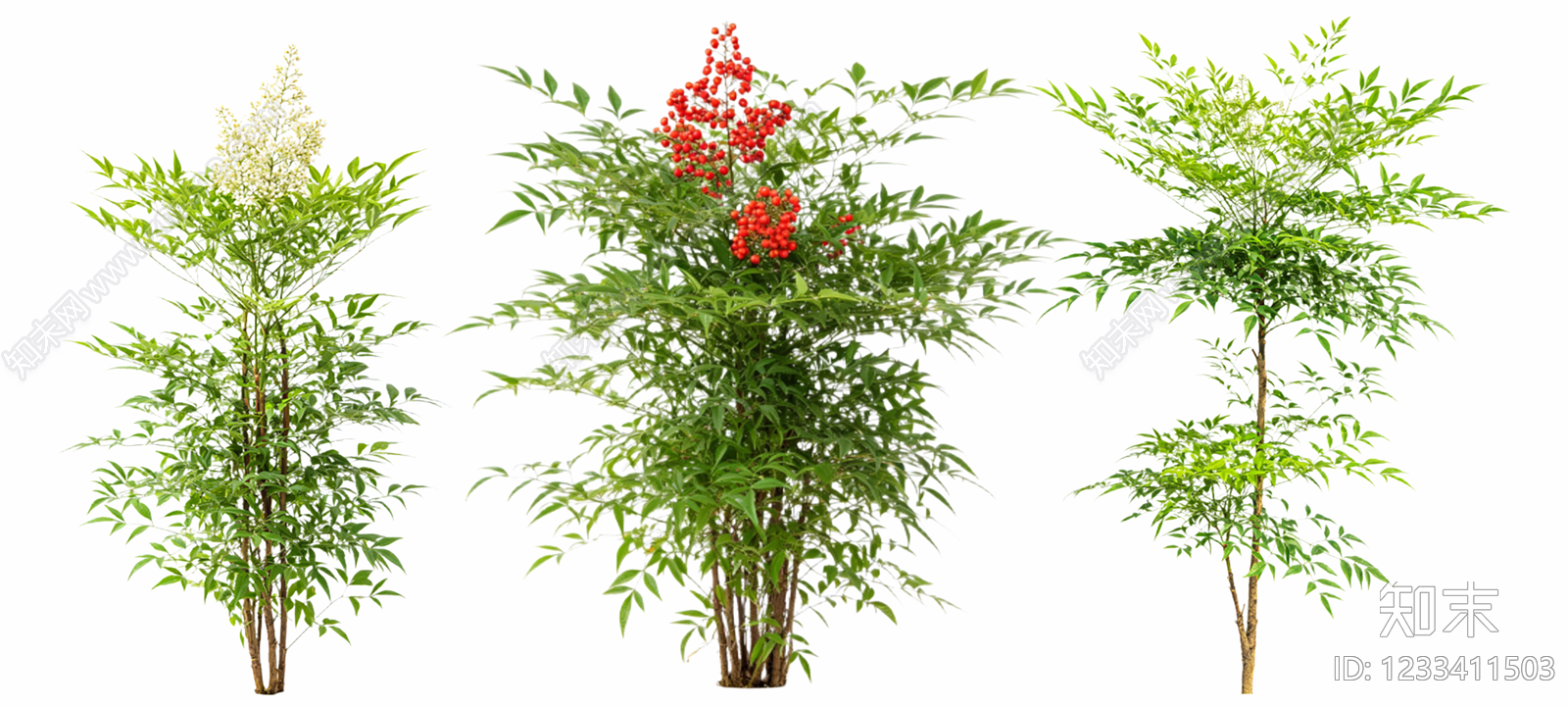 竹子SU模型下载【ID:1233411503】