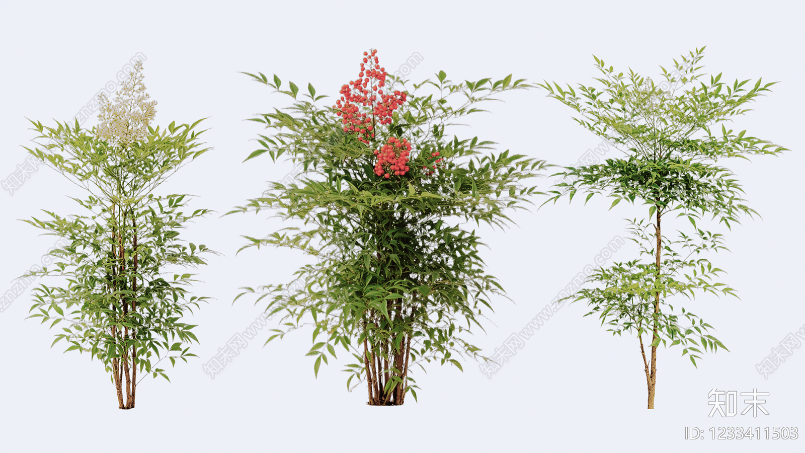 竹子SU模型下载【ID:1233411503】