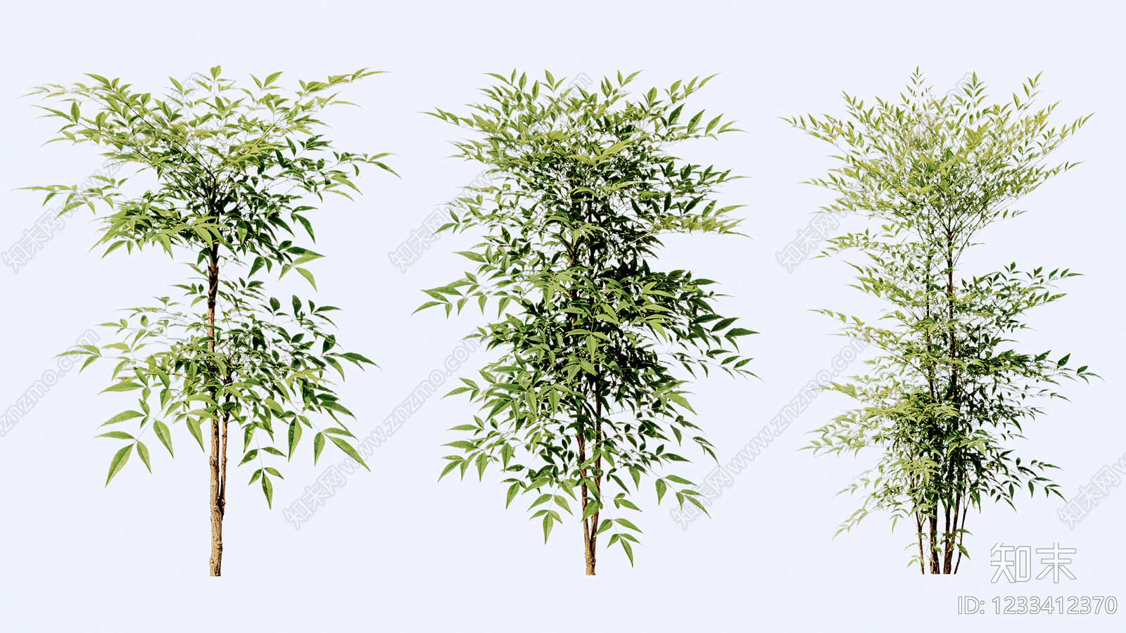 竹子SU模型下载【ID:1233412370】