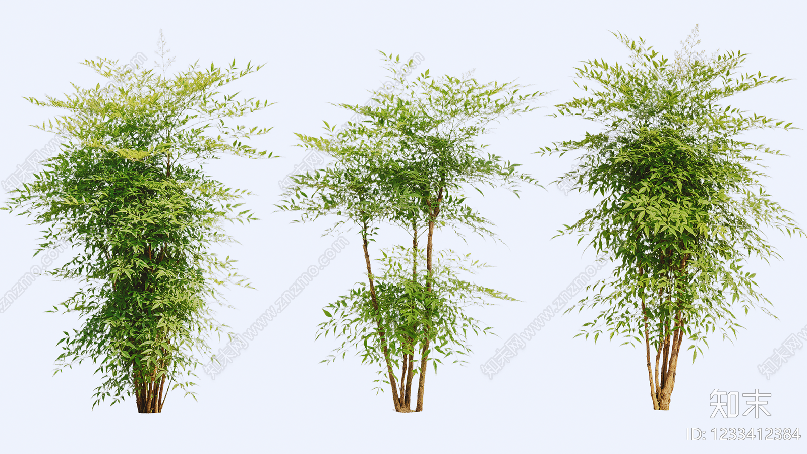 竹子SU模型下载【ID:1233412384】
