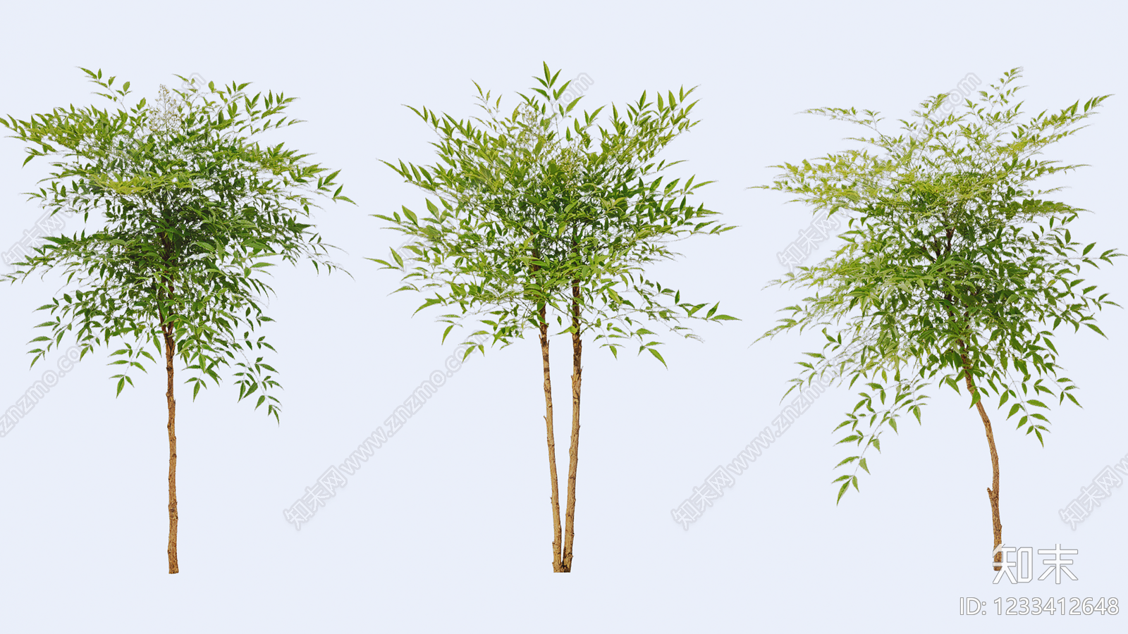 竹子SU模型下载【ID:1233412648】