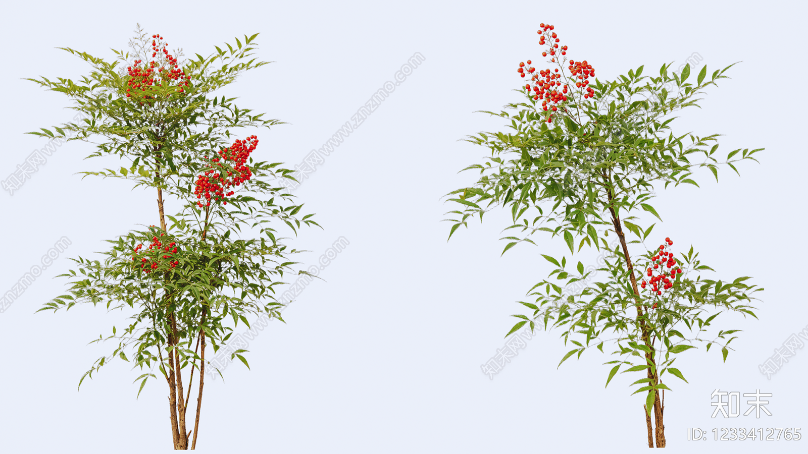竹子SU模型下载【ID:1233412765】