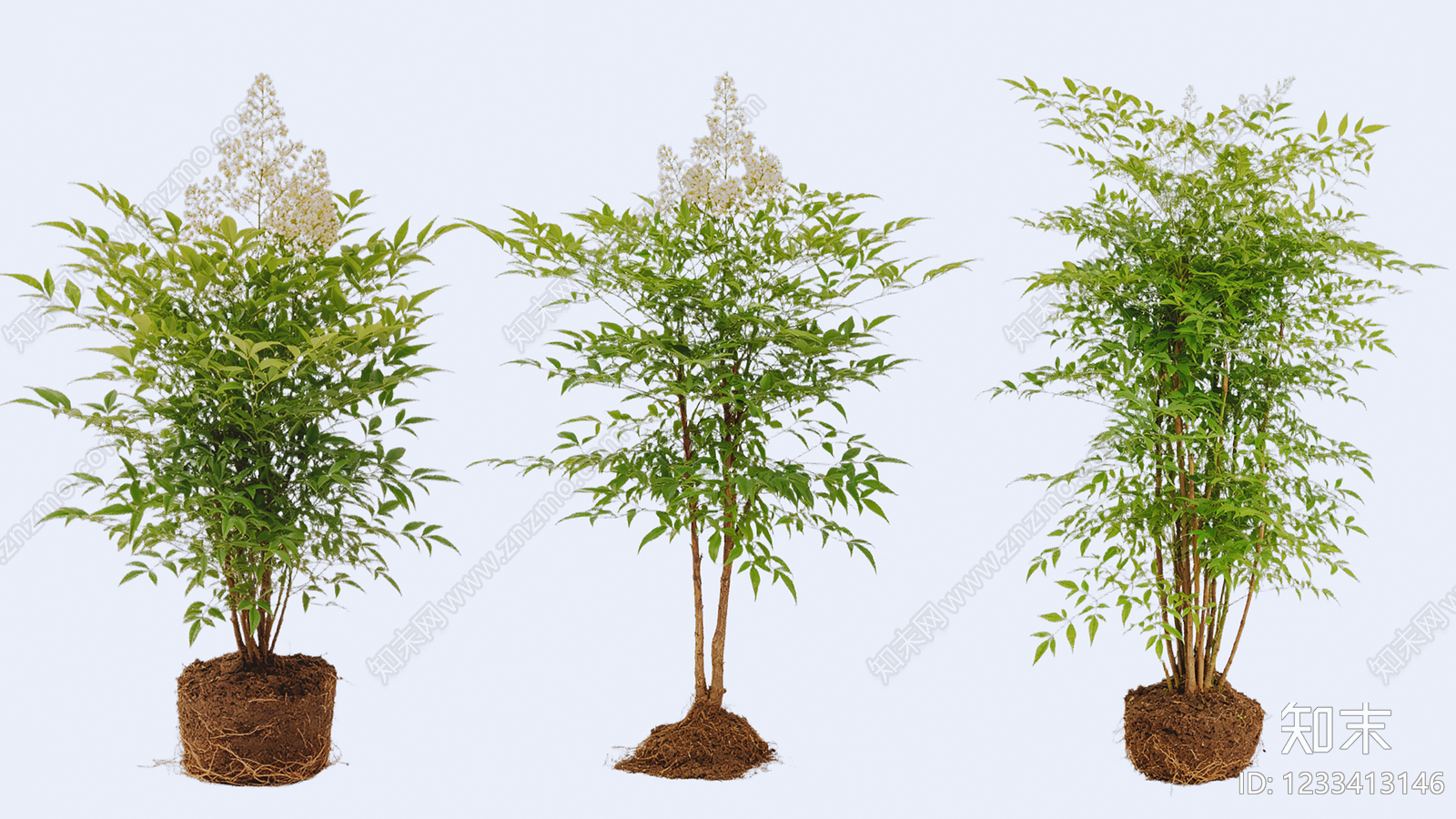 竹子SU模型下载【ID:1233413146】