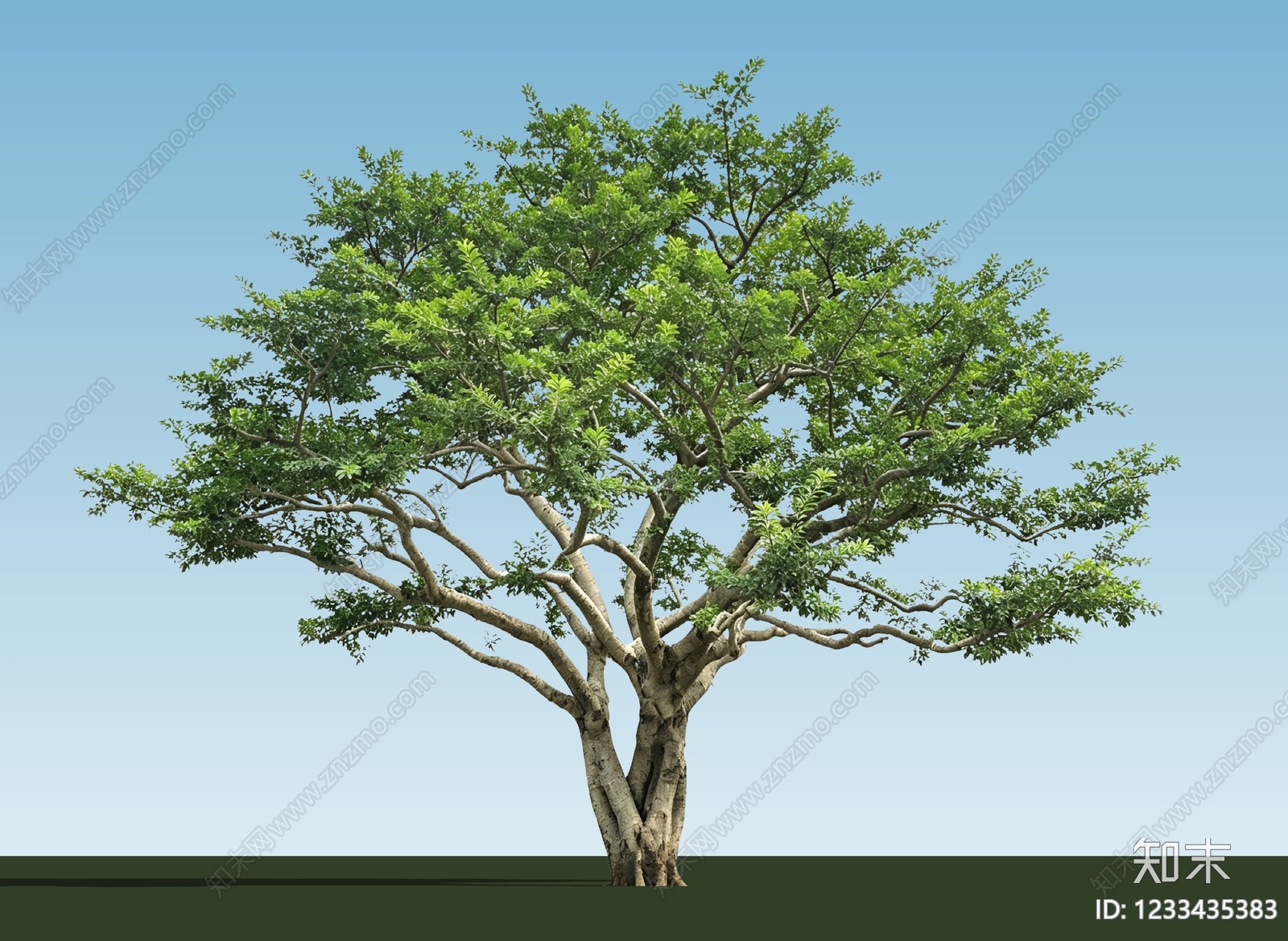 乔木SU模型下载【ID:1233435383】
